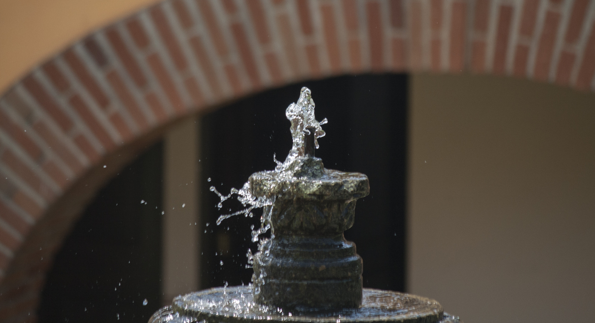 Canon EF-S 55-250mm F4-5.6 IS sample photo. Pausa photography