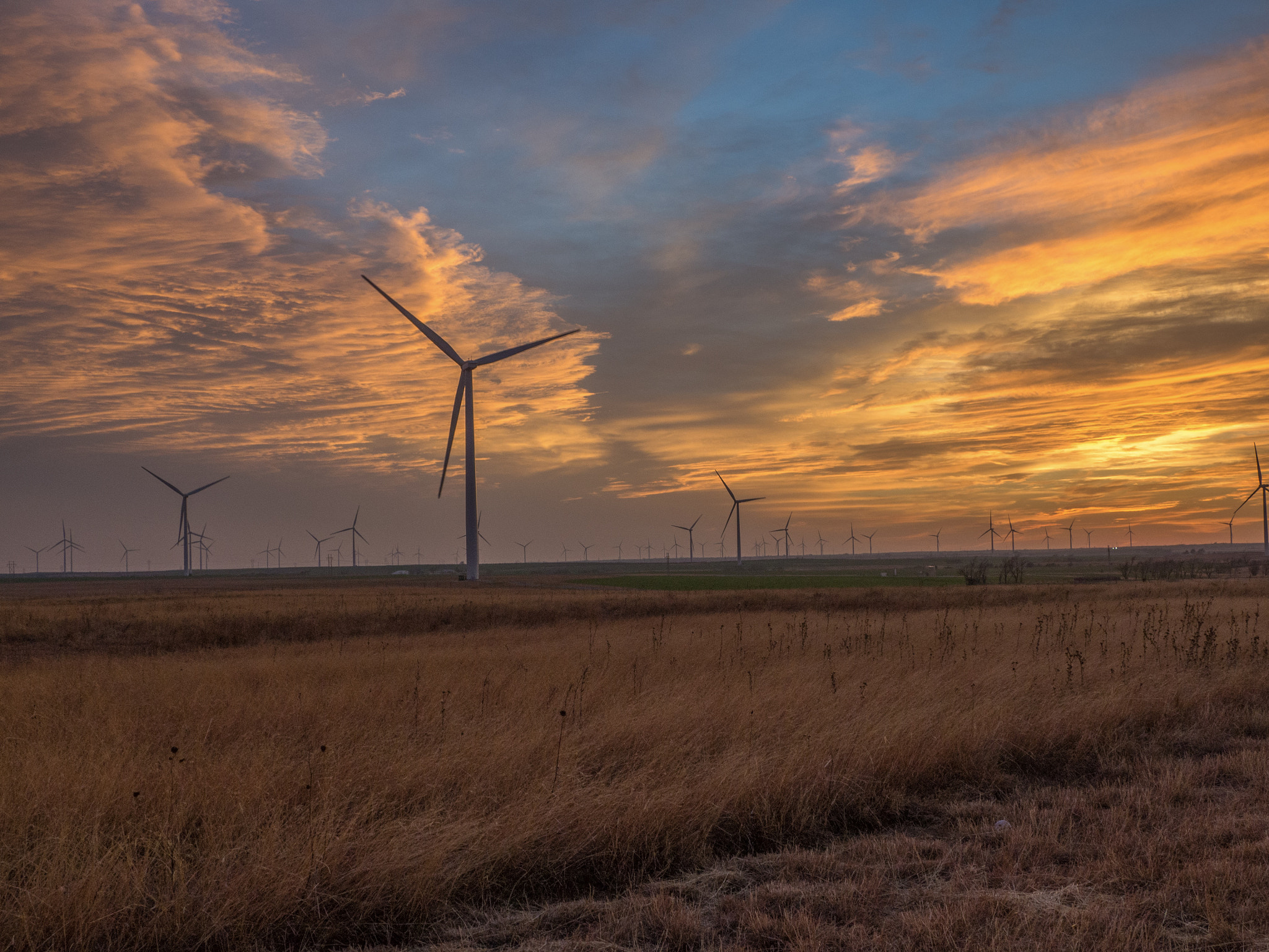 Olympus OM-D E-M10 sample photo. Wind power photography