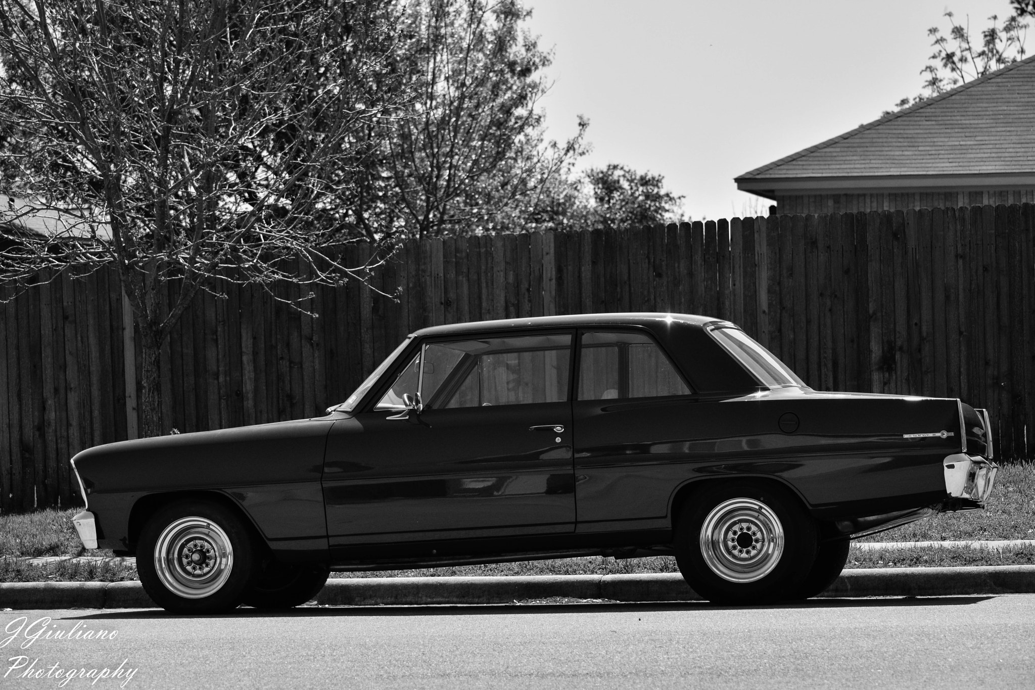 Nikon D5500 sample photo. Nova ii photography