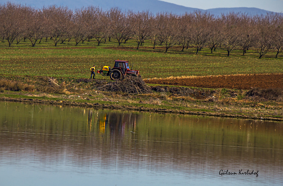 Canon EF-S 55-250mm F4-5.6 IS II sample photo. Bahar photography