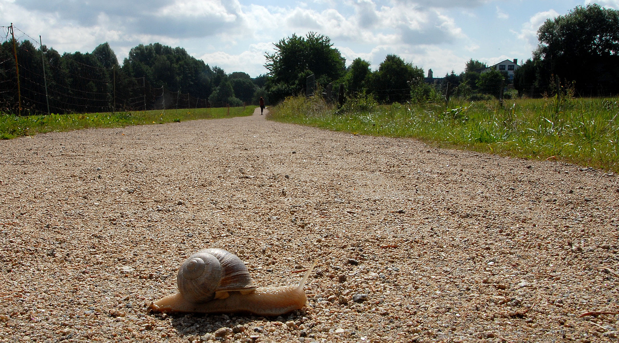 Nikon D200 sample photo. A long way photography