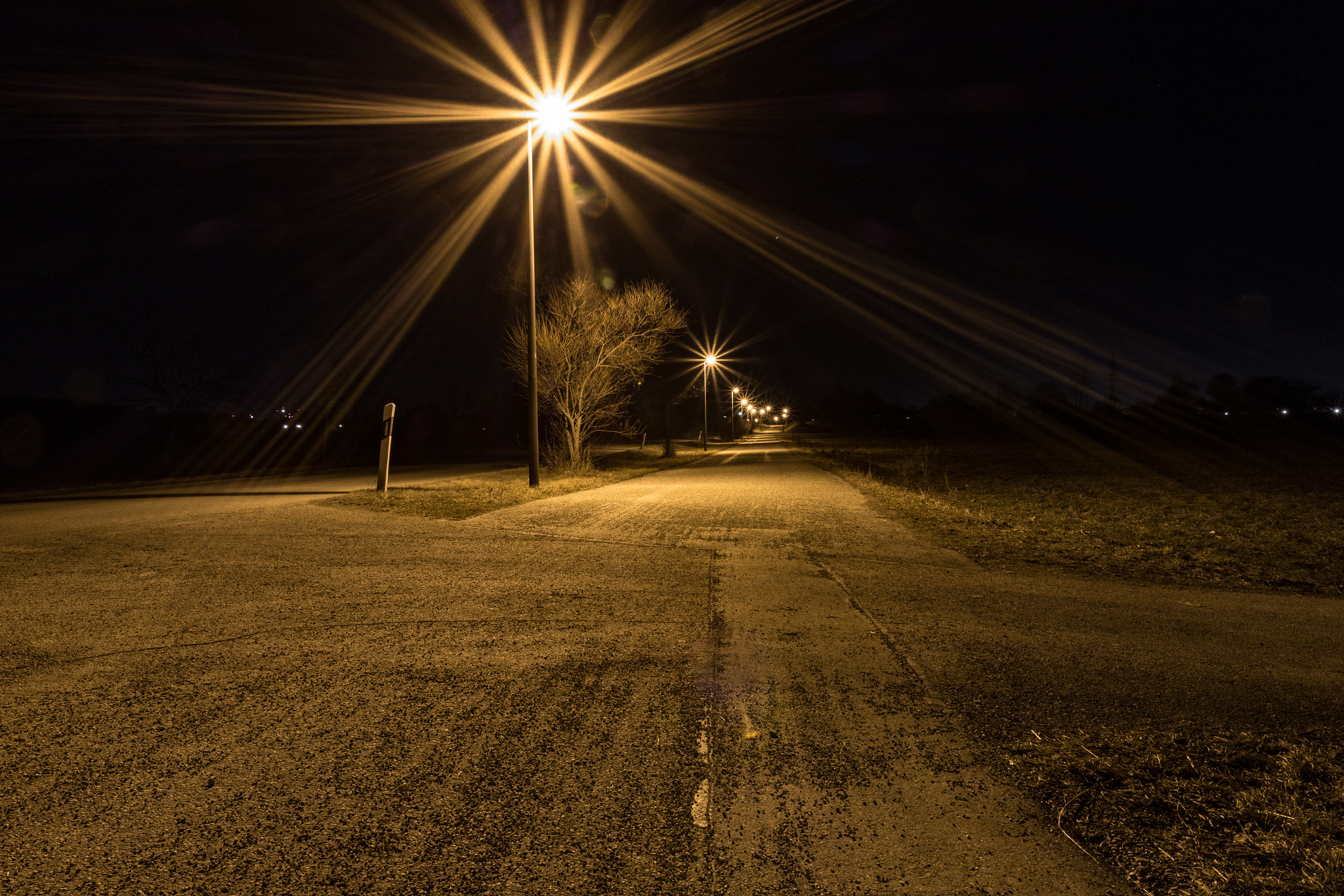 Canon EOS 7D Mark II sample photo. Way in the night photography