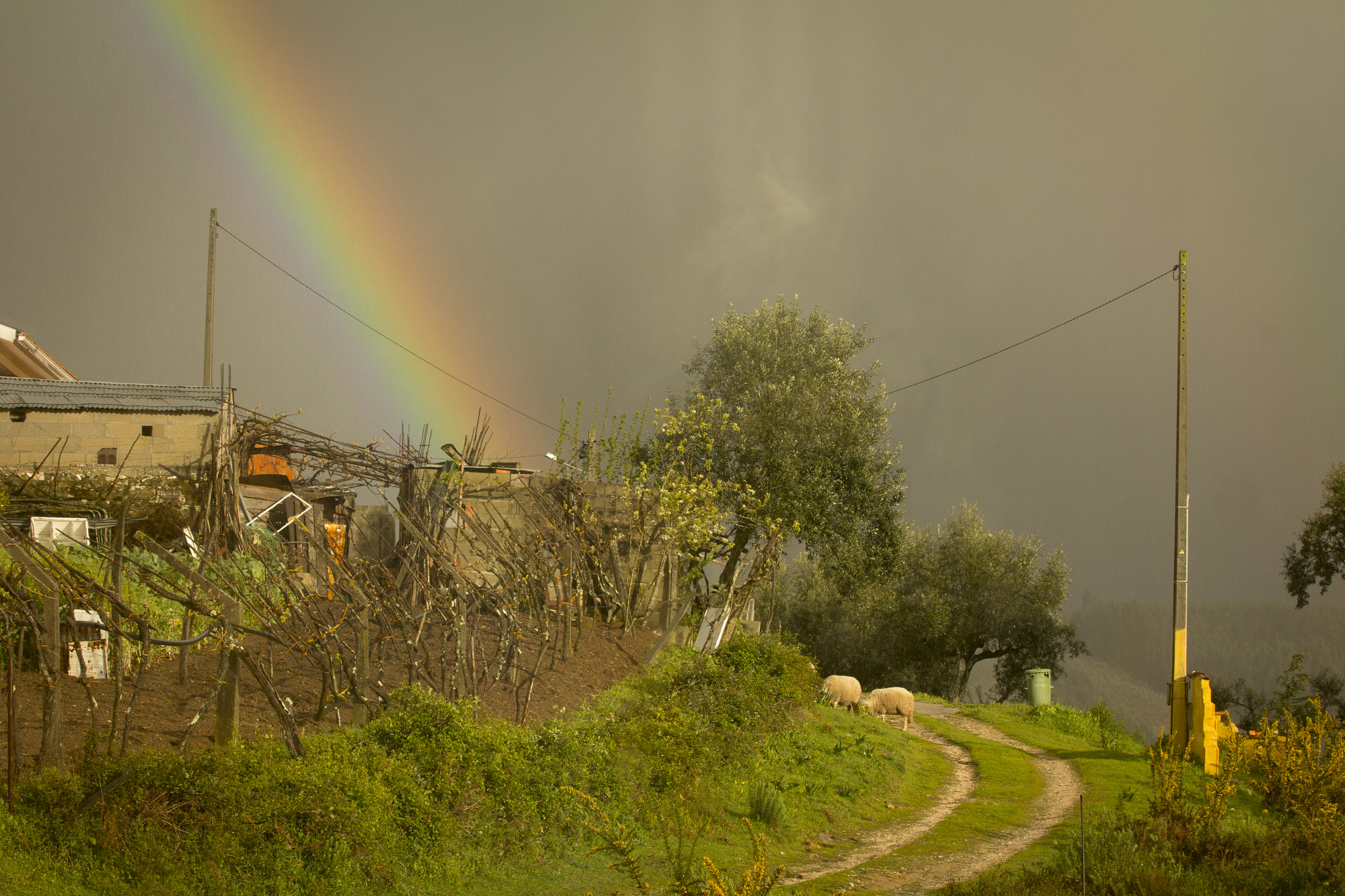 Canon EF 70-200mm F2.8L IS II USM sample photo. Rainbows photography
