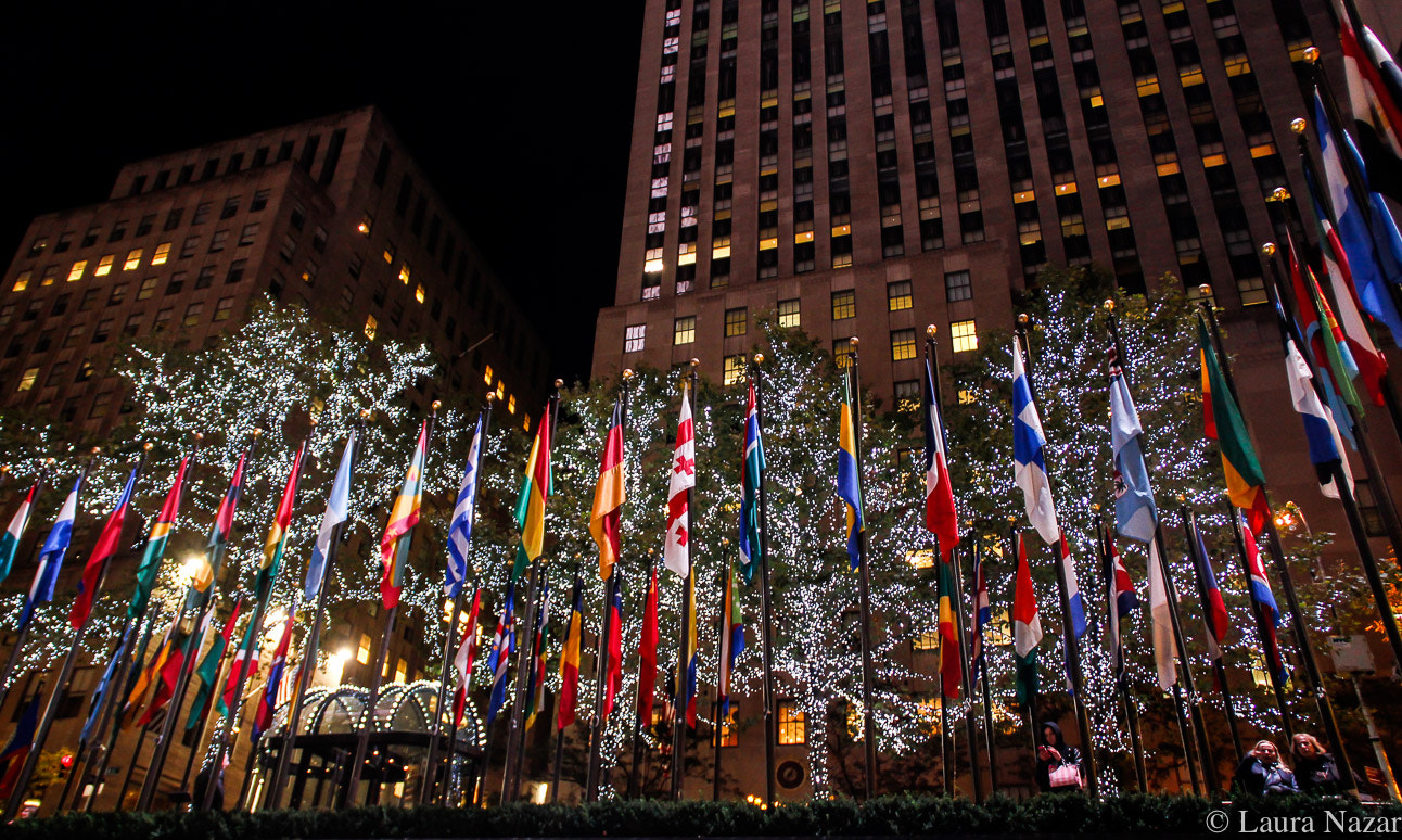 Canon EOS 550D (EOS Rebel T2i / EOS Kiss X4) sample photo. New york city rc dos photography