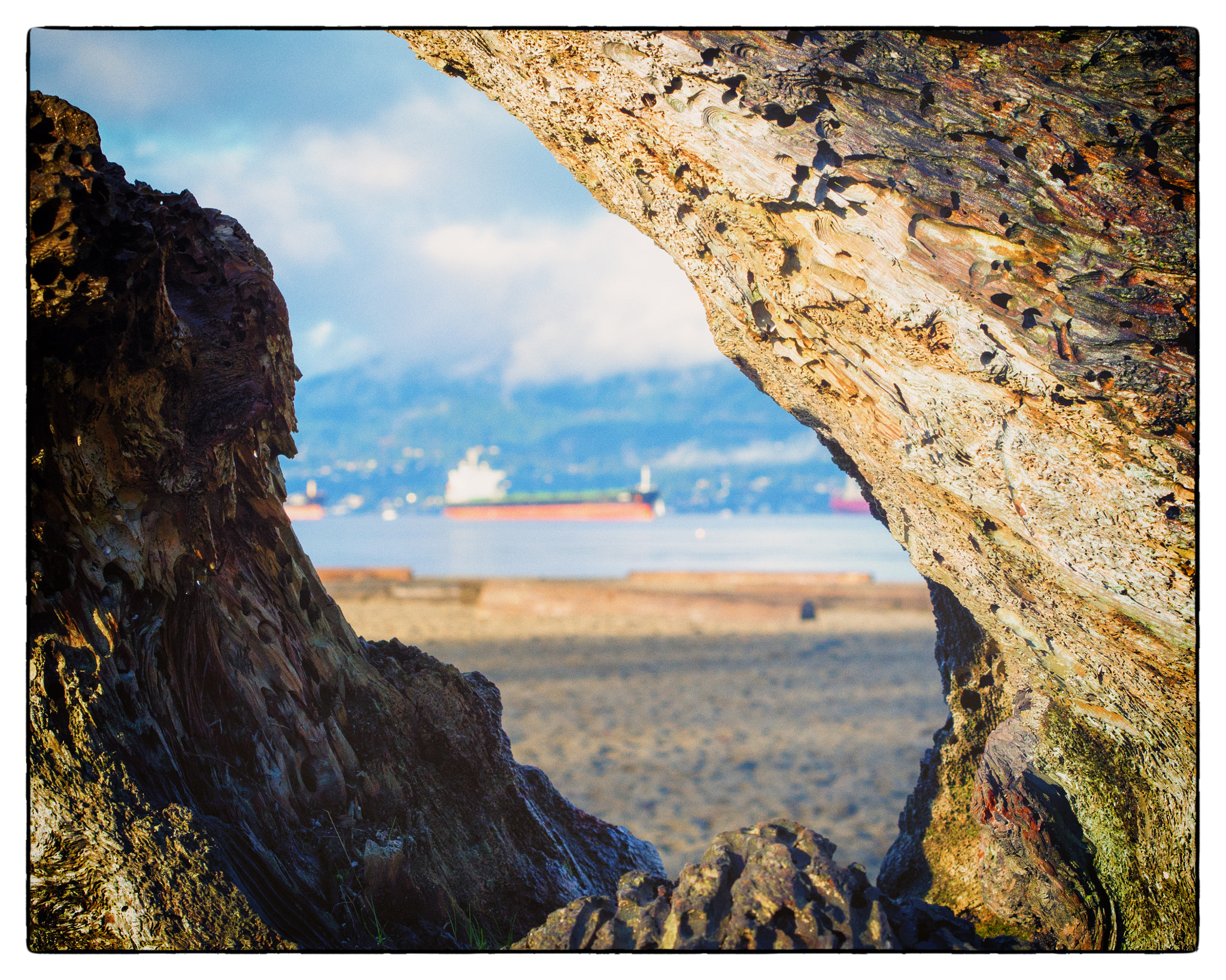 Olympus PEN E-PL5 + Olympus M.Zuiko Digital 45mm F1.8 sample photo. Jericho beach photography