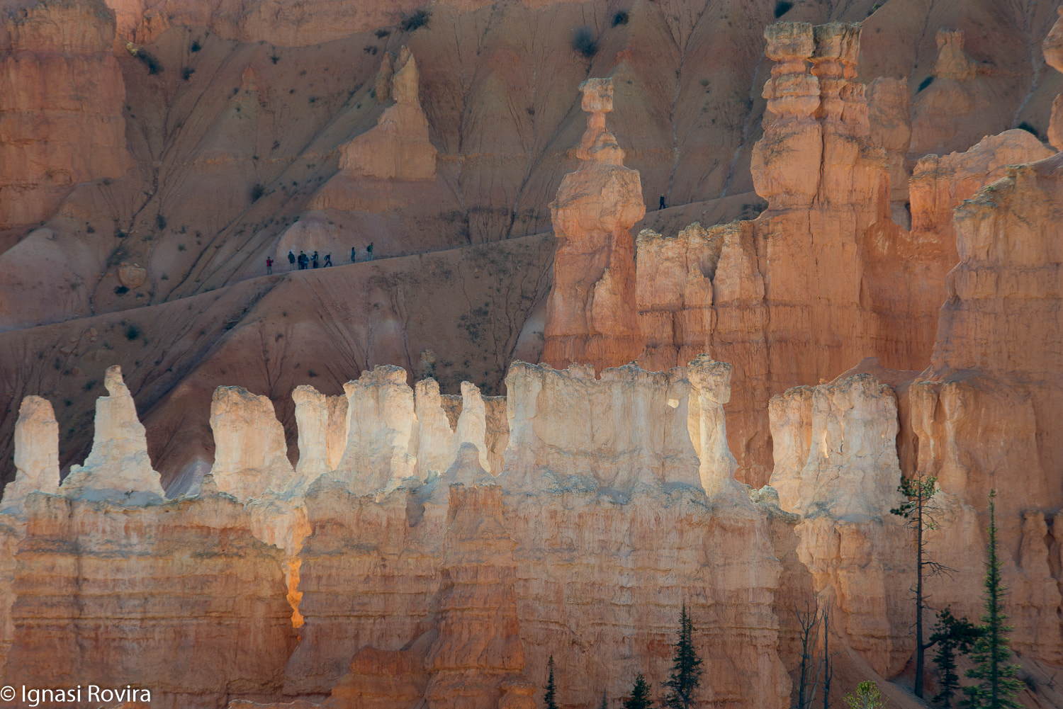 Nikon D600 sample photo. Bryce canyon national park. utah. eeuu photography
