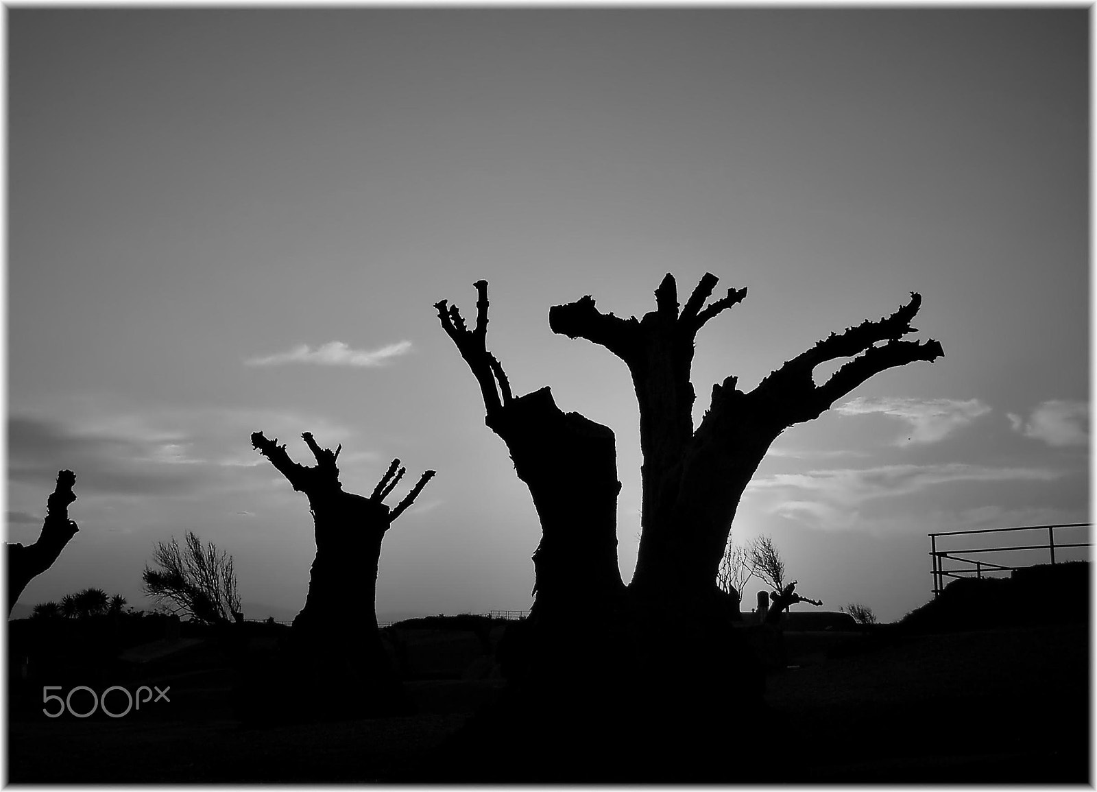 Samsung Pro 815 sample photo. Monte san pedro photography