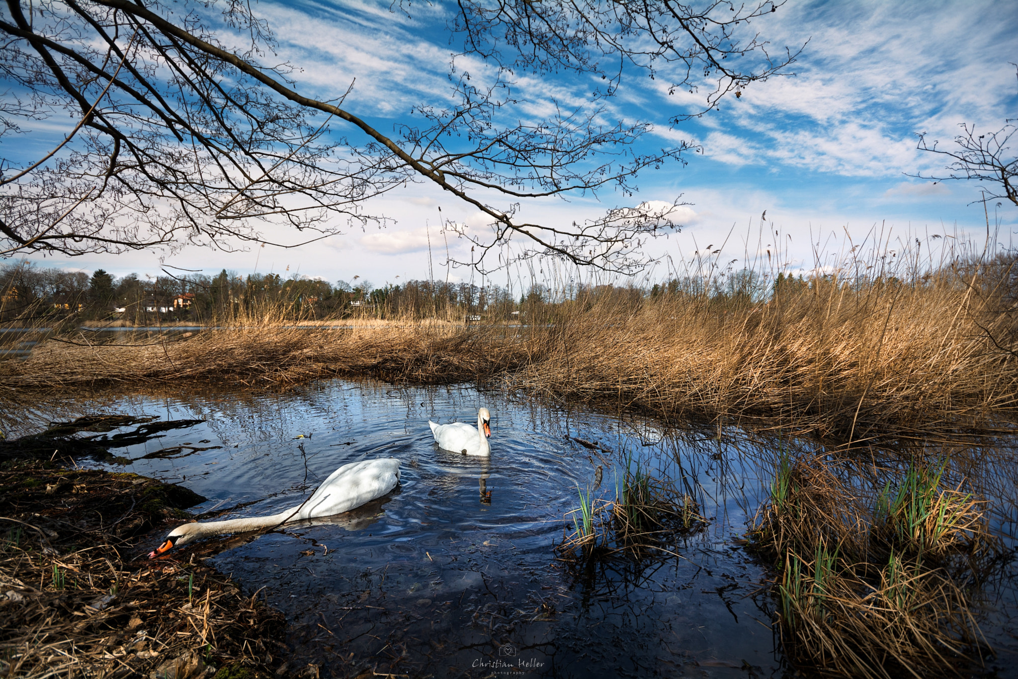 Sigma 10-20mm F4-5.6 EX DC HSM sample photo. Netsbau photography