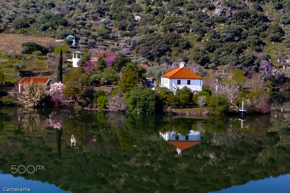 Canon EOS 60D sample photo. Water mirror photography