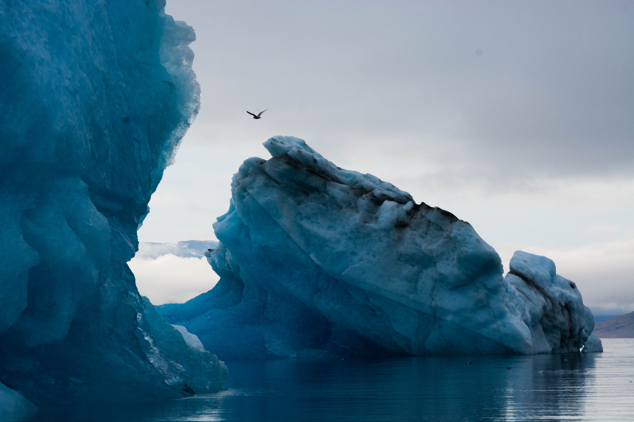 Nikon D7100 sample photo. Iceberg photography