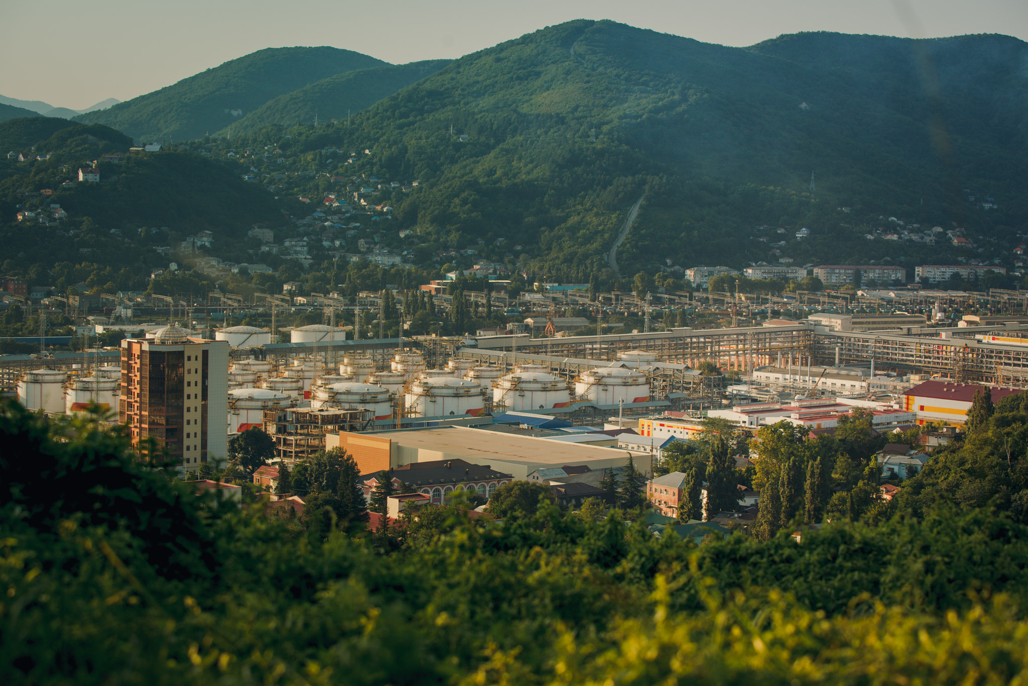 Canon EF 80-200mm f/2.8L sample photo. Russia, tuapse photography