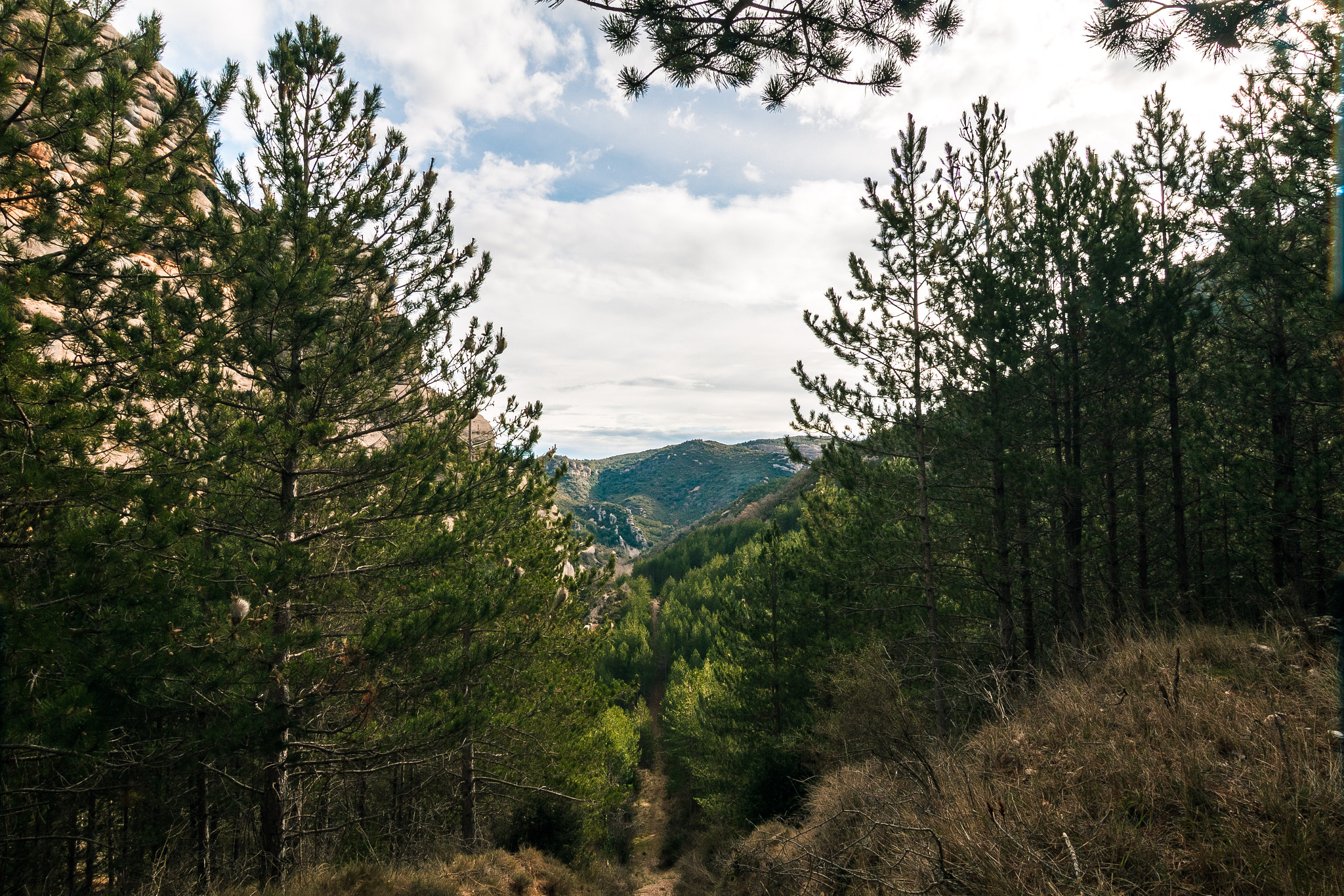 Sigma 10-20mm F3.5 EX DC HSM sample photo. Vadiello photography
