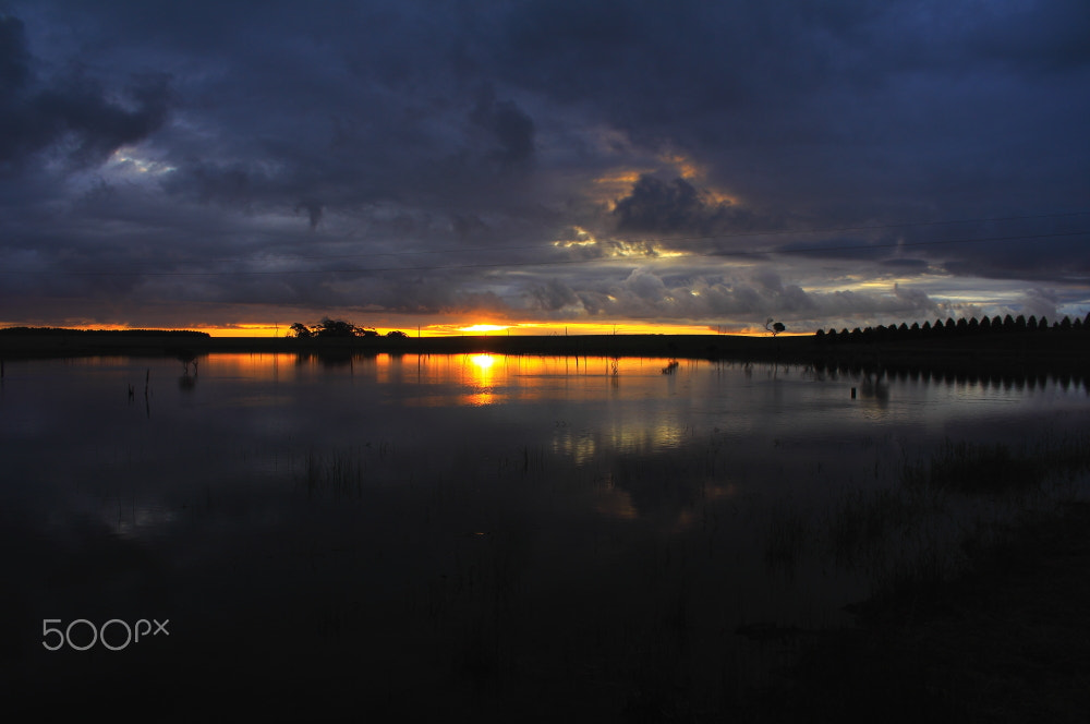 Canon EOS 60D sample photo. Moody sky at forest photography