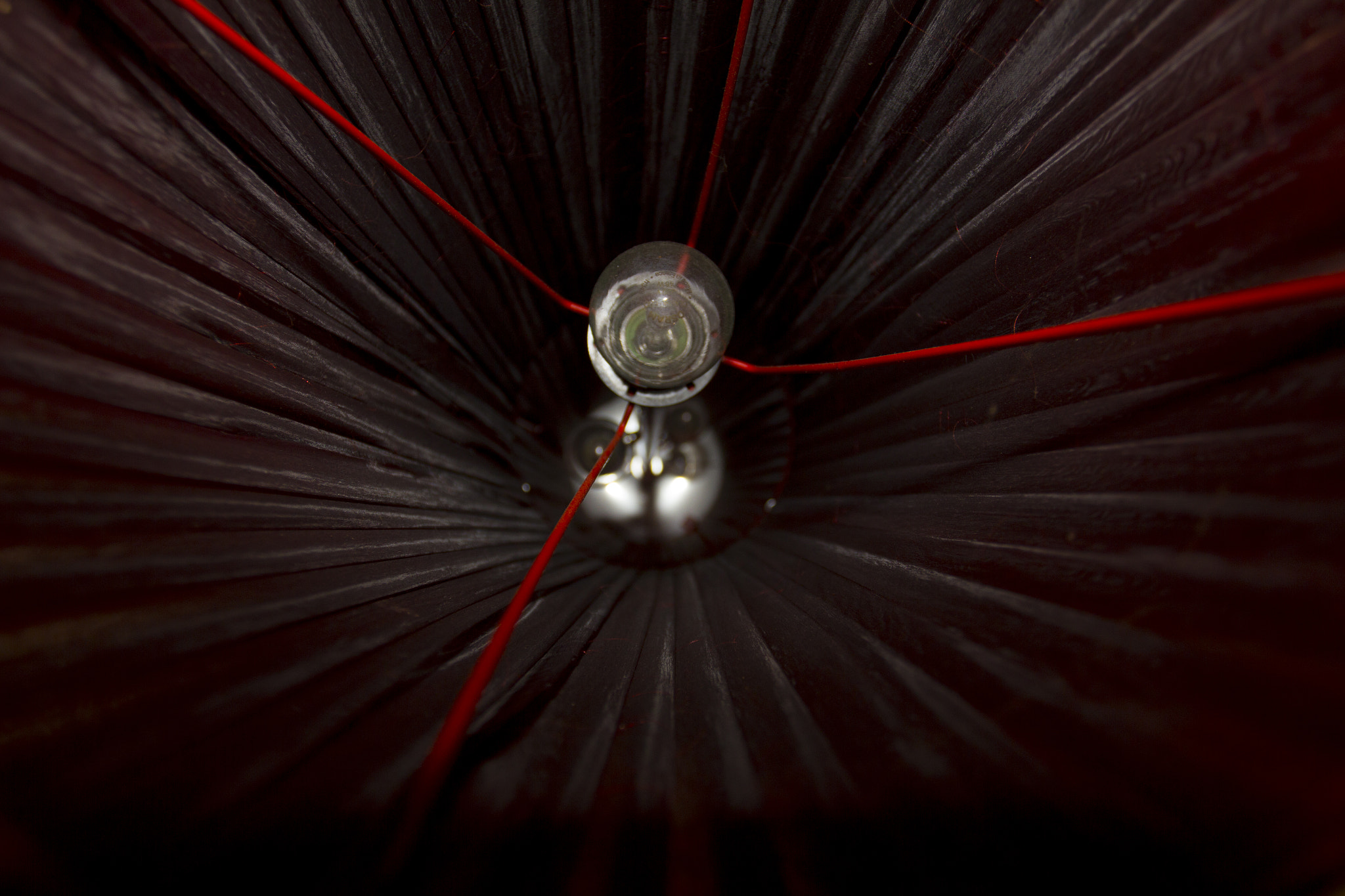 Canon EOS 60D + Canon EF 17-40mm F4L USM sample photo. Lamp flower photography