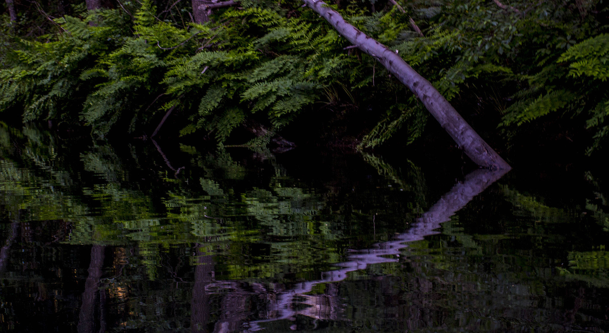 Canon EOS 60D + Canon EF 17-40mm F4L USM sample photo. Dark ceira photography