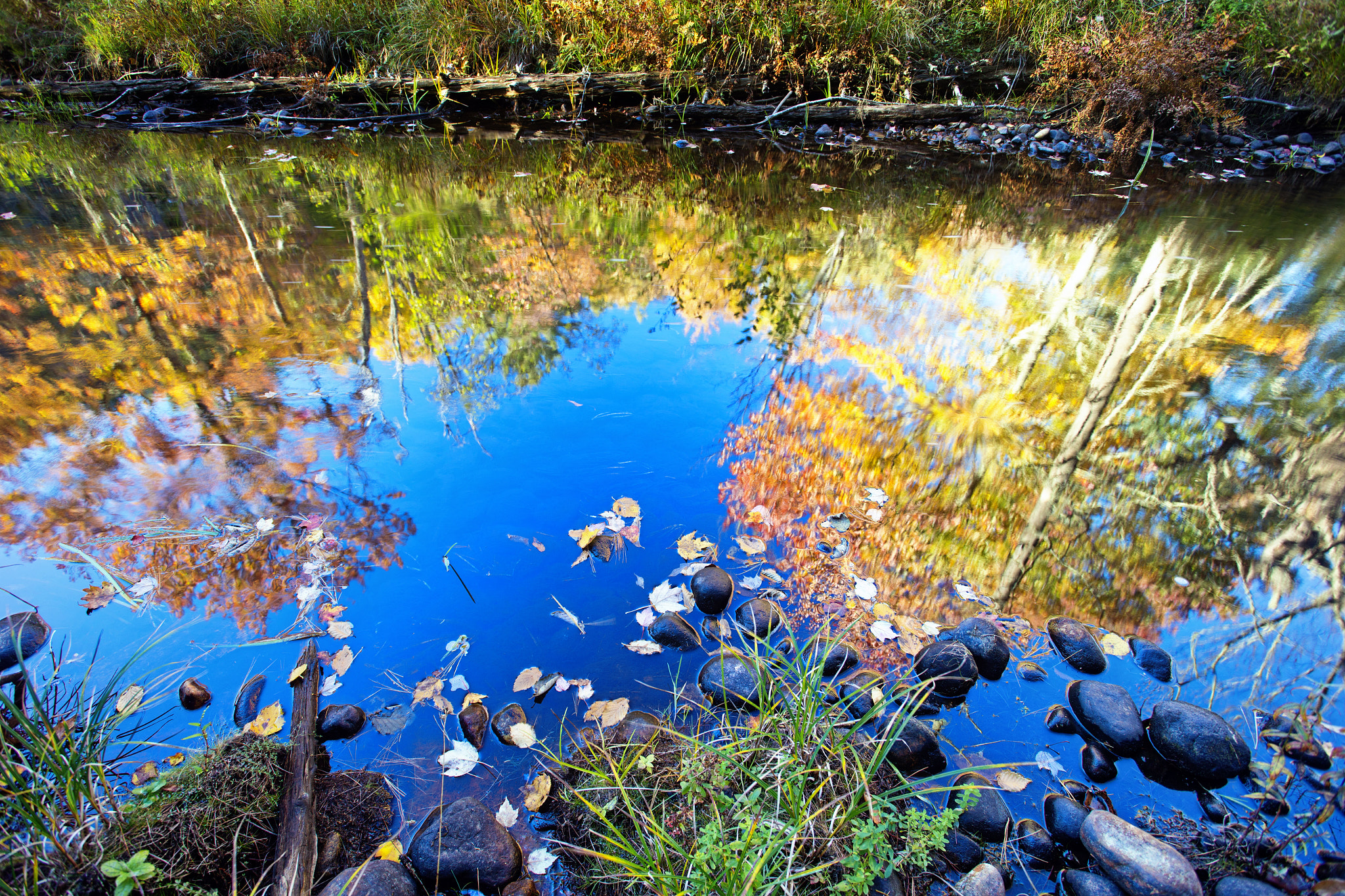 Canon EOS-1D X + Canon EF 17-40mm F4L USM sample photo. A pond further reflection photography