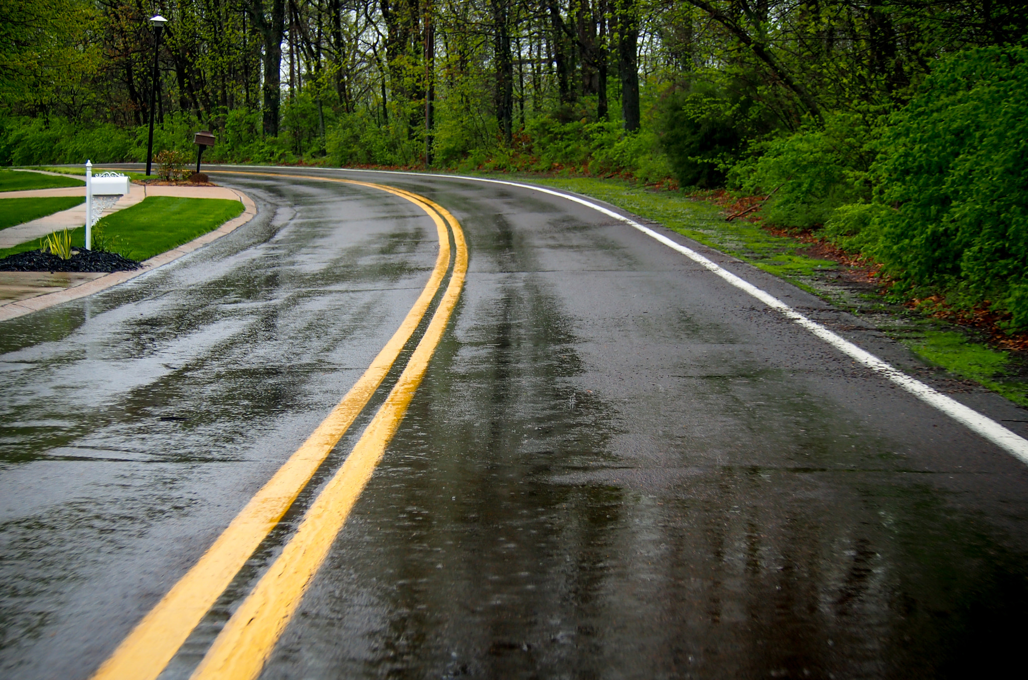 Olympus OM-D E-M5 sample photo. Rainy spring day photography