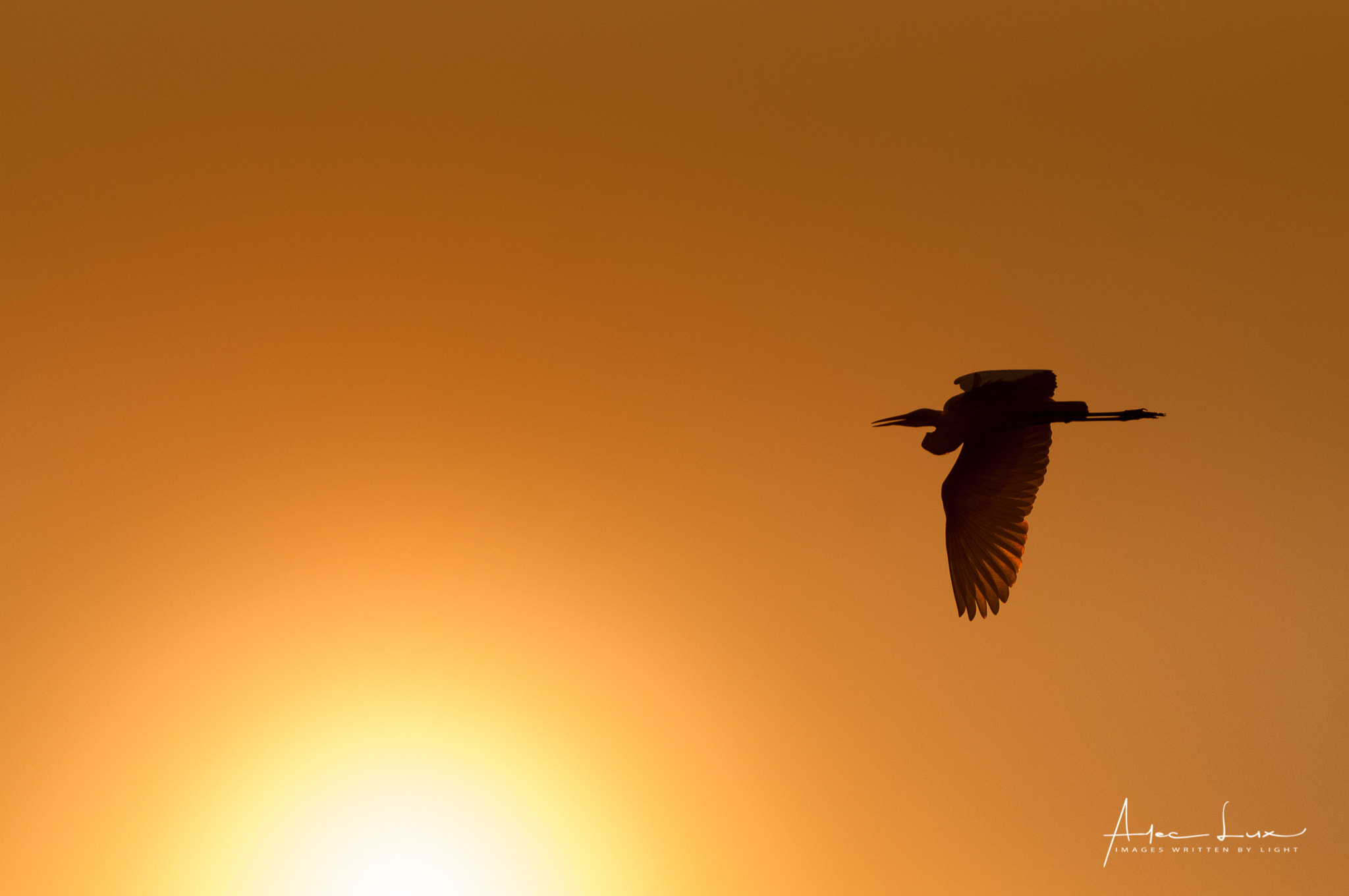 Nikon AF-S Nikkor 70-200mm F2.8G ED VR II sample photo. Icarus photography