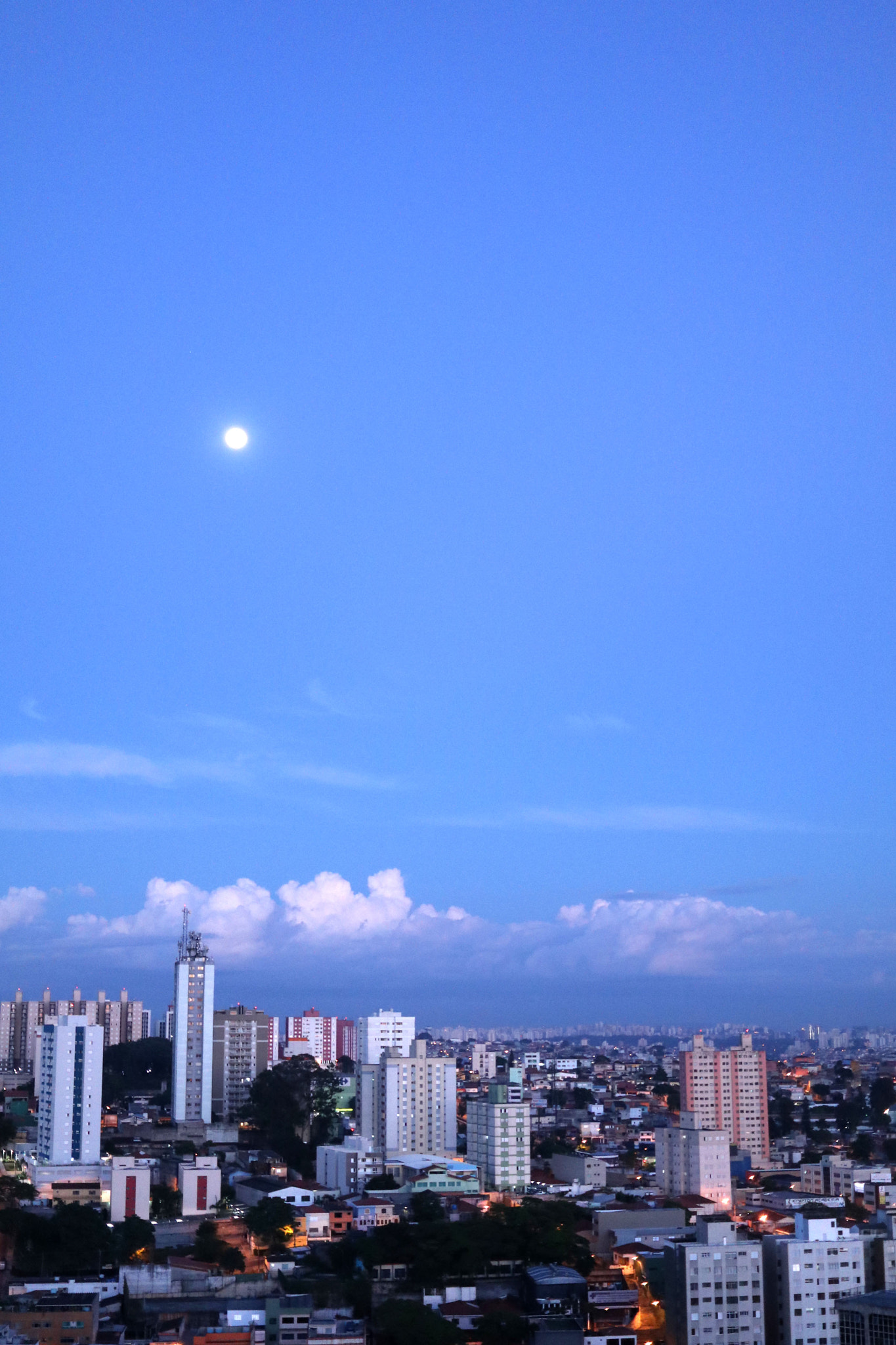 Canon EF-S 24mm F2.8 STM sample photo. Img photography