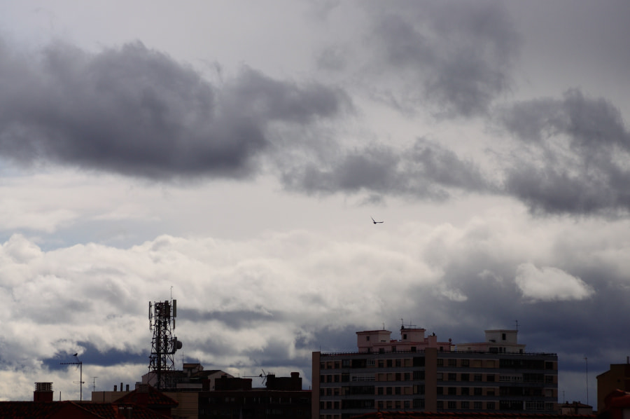 AF Zoom-Nikkor 28-105mm f/3.5-4.5D IF sample photo. Fly away photography