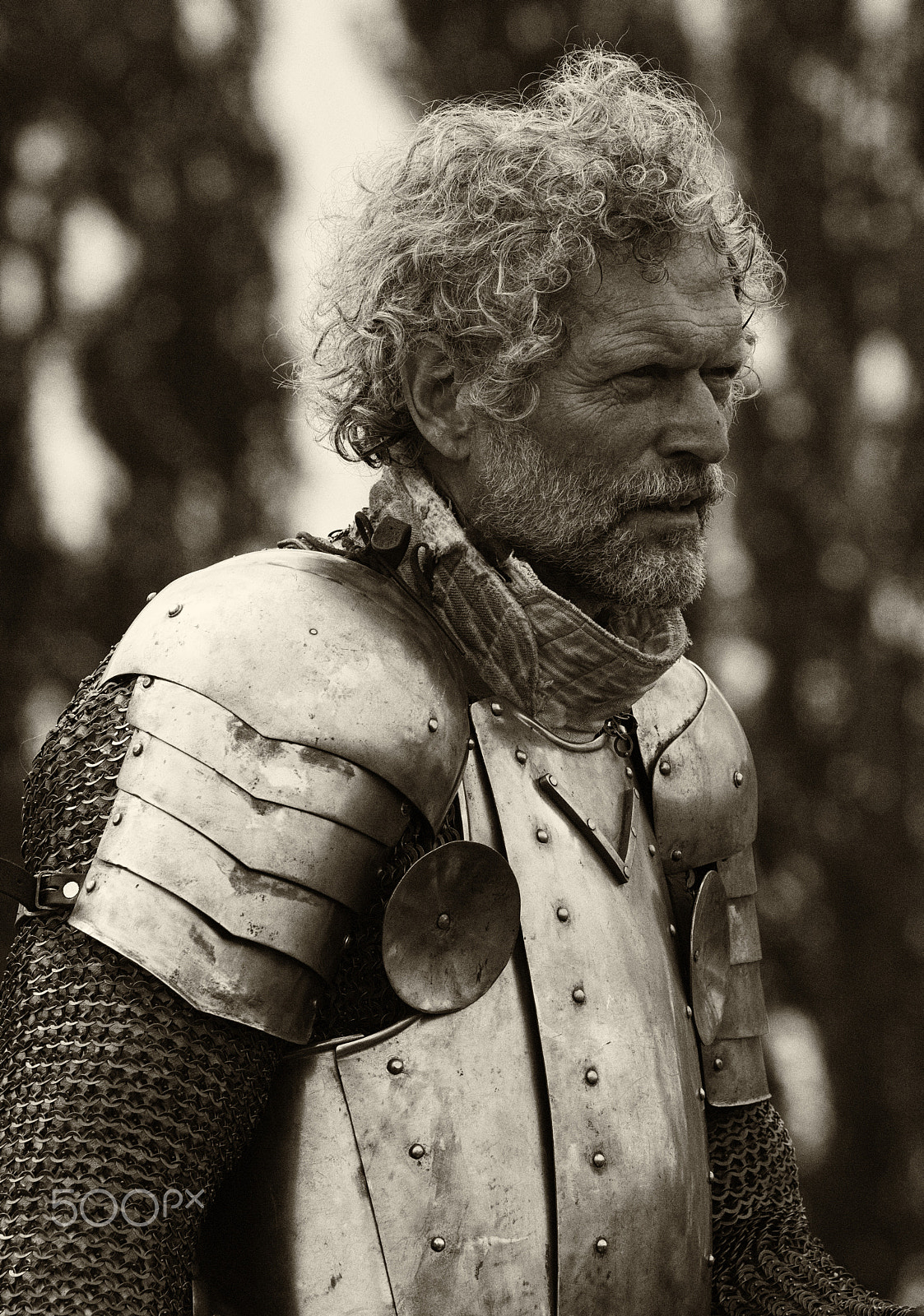 Nikon D2X sample photo. Knights of old 13 photography