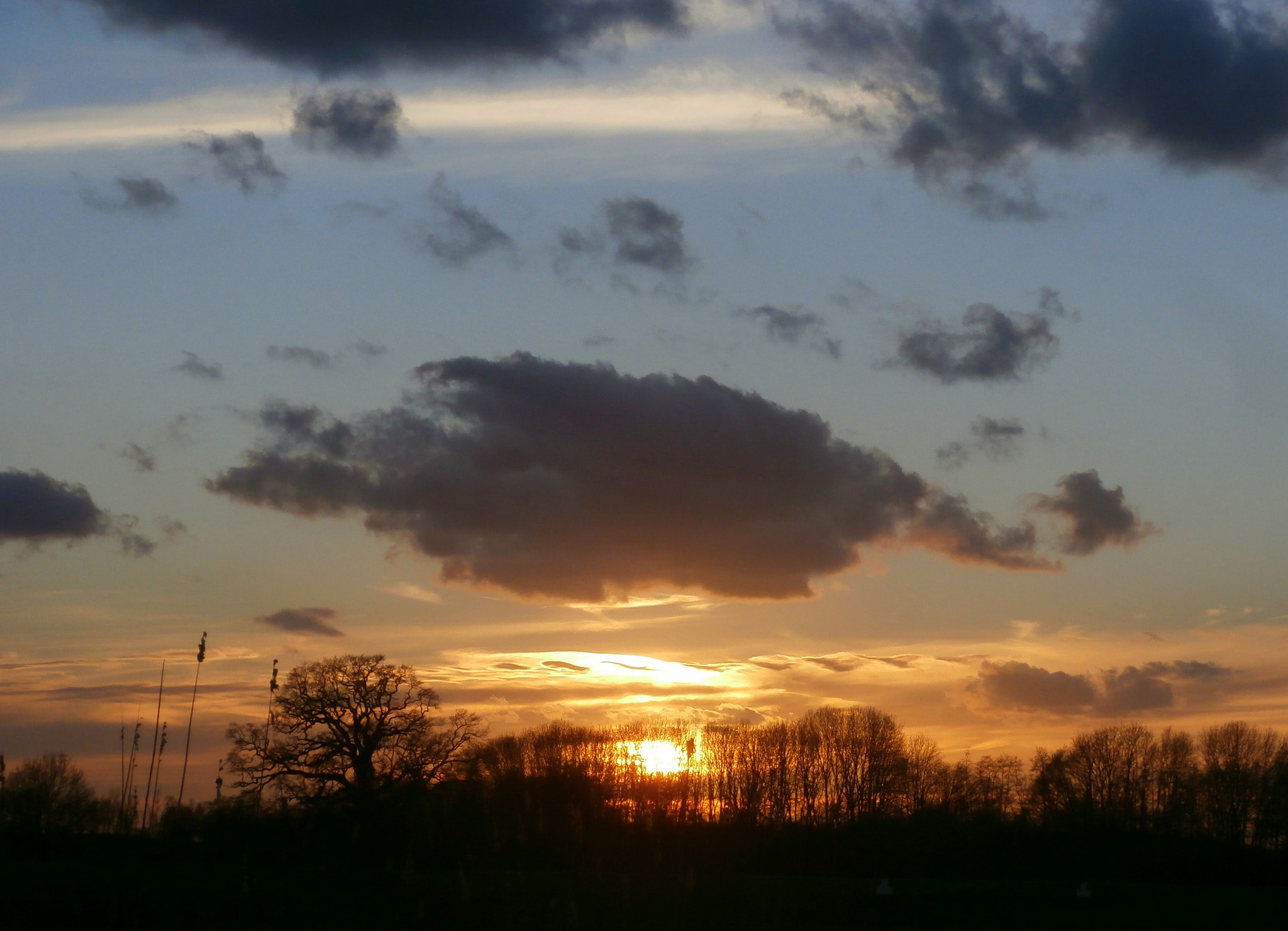 Olympus VR340,D750 sample photo. Sunset. photography