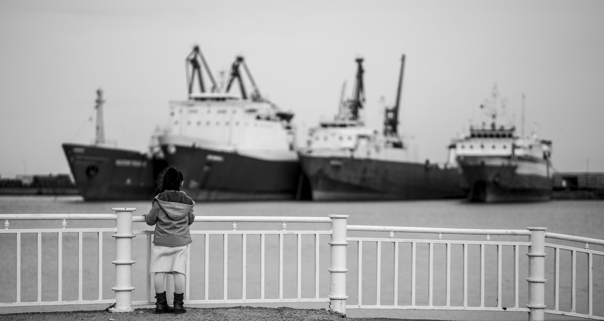 ZEISS Batis 85mm F1.8 sample photo. Untitled photography