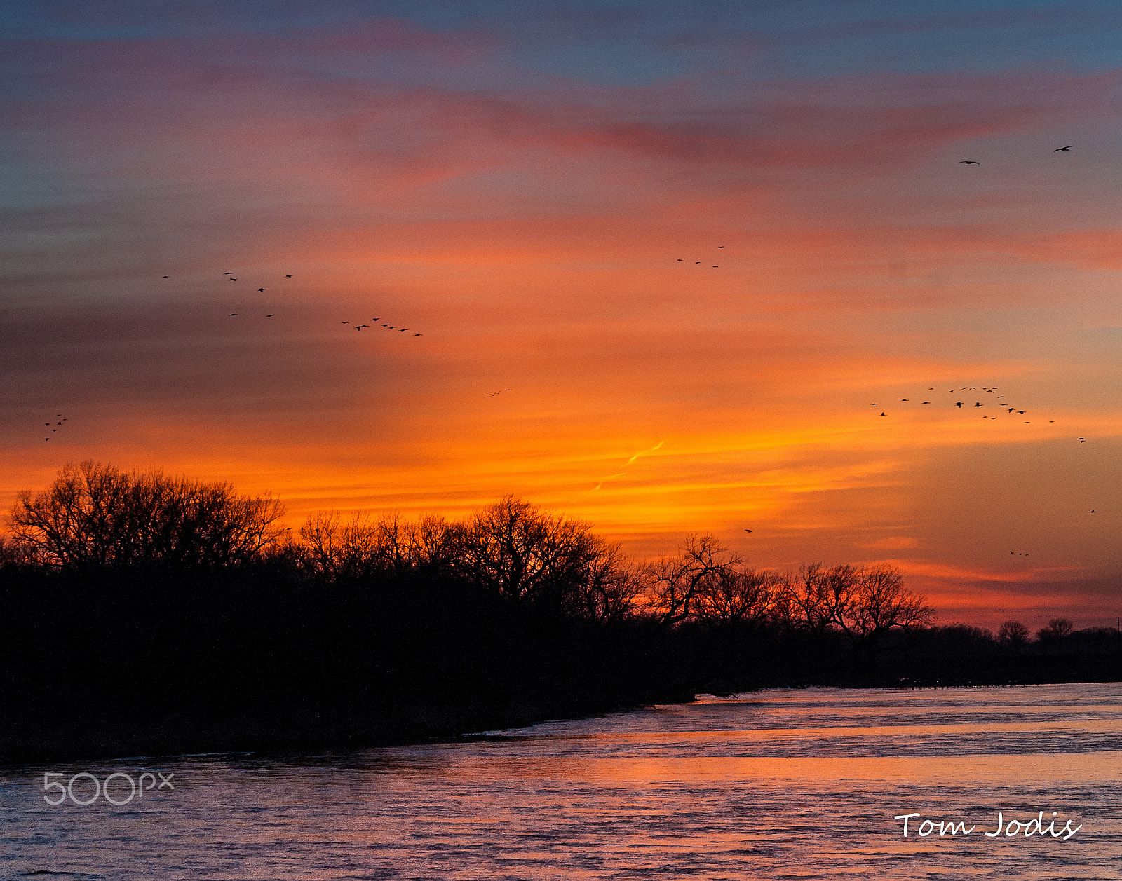 Nikon D700 sample photo. Sandhill cranes sunset platte photography