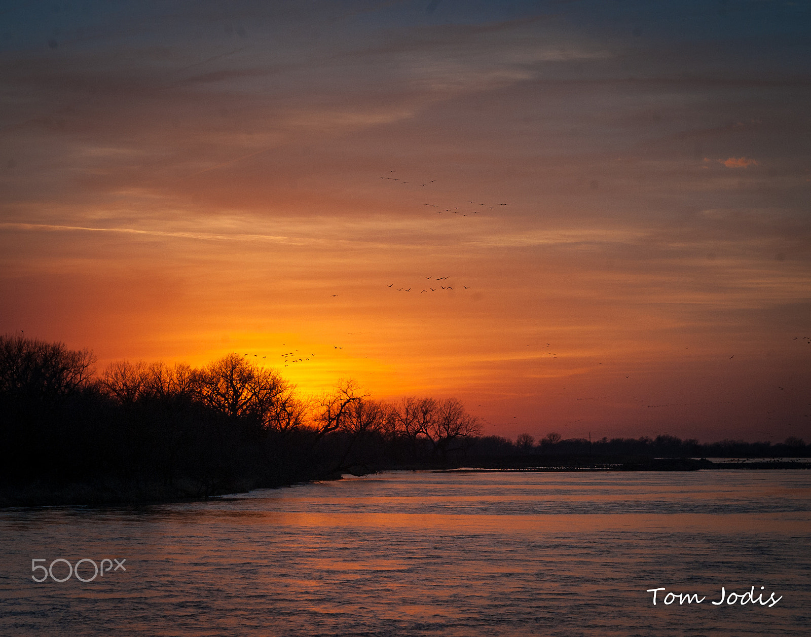 Nikon D700 sample photo. Sandhill cranes sunset platte photography