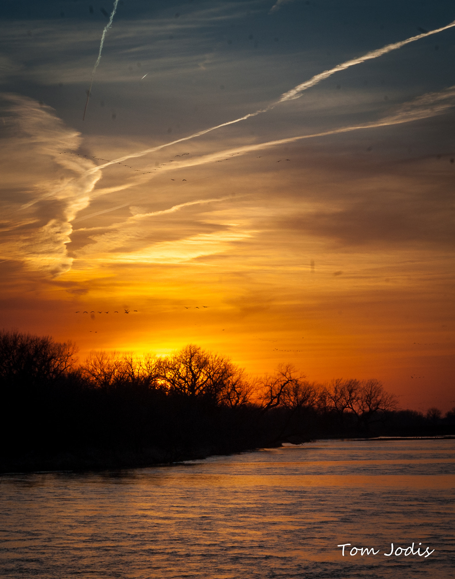 Nikon D700 sample photo. Sandhill cranes photography