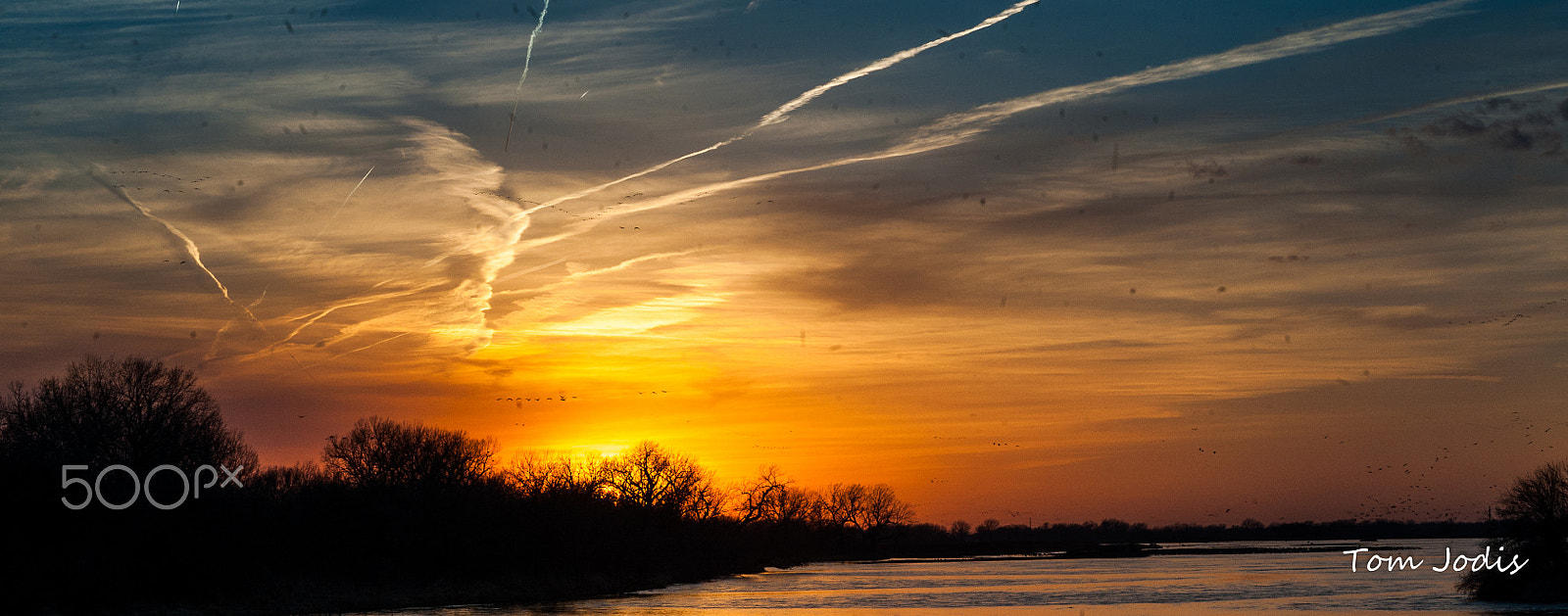 Nikon D700 sample photo. Sandhill cranes photography