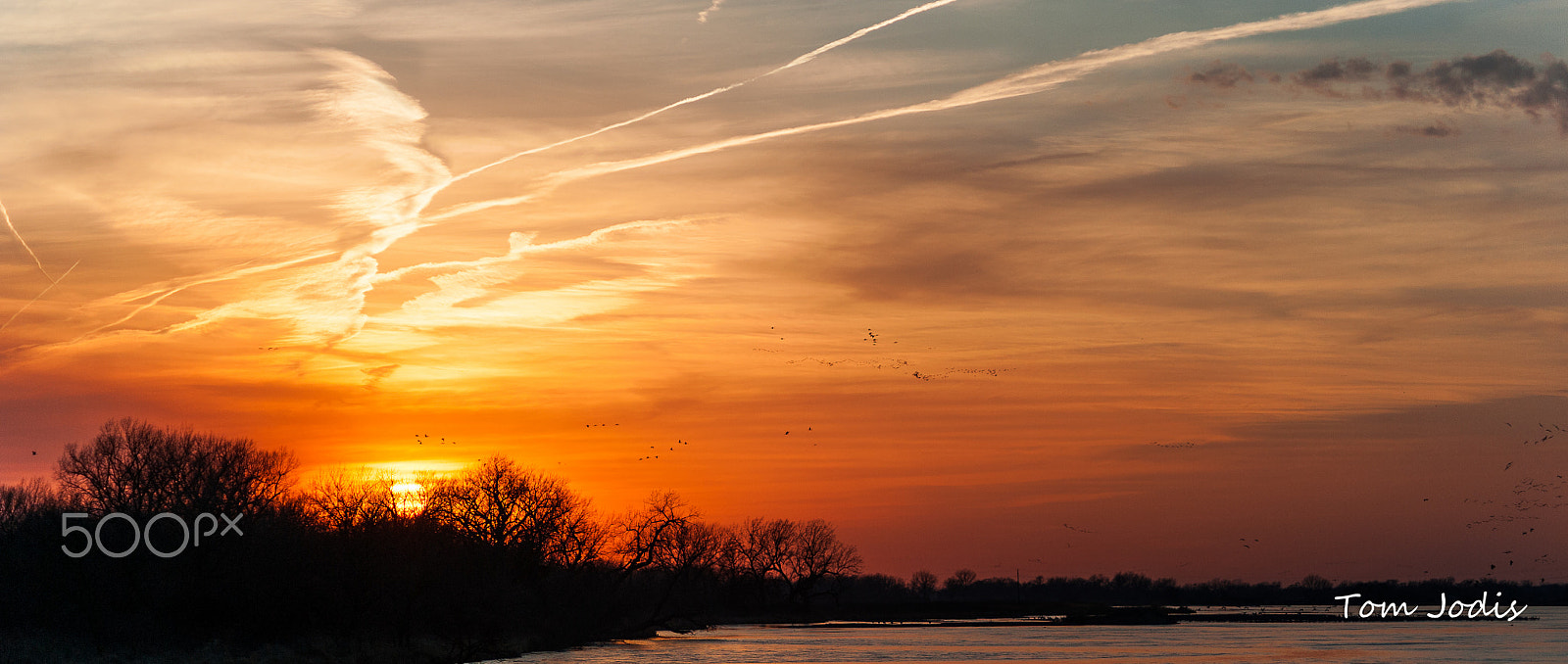 Nikon D700 sample photo. Sandhill cranes sunset platte photography