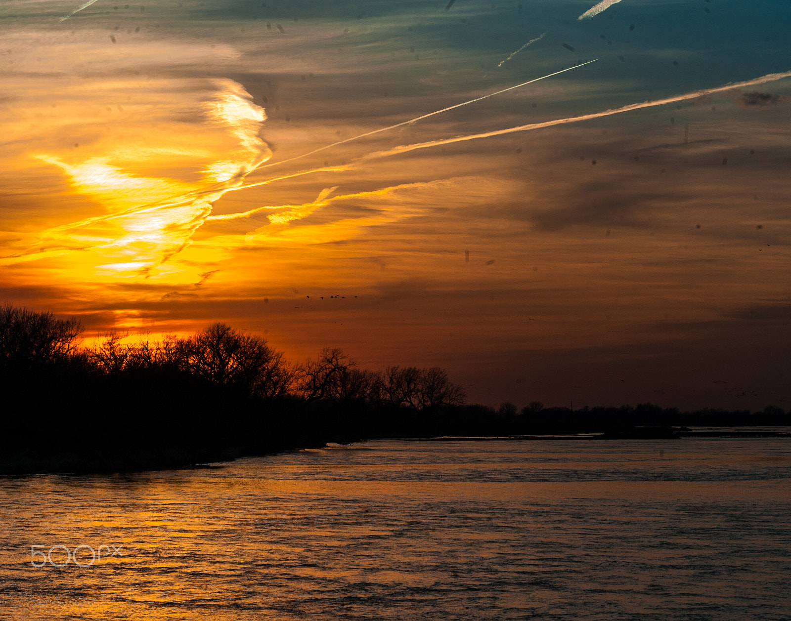 Nikon D700 sample photo. Sandhill cranes sunset platte photography