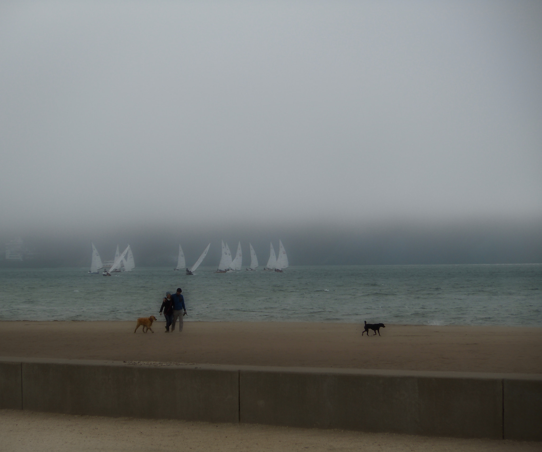 Nikon Coolpix S6000 sample photo. Beach walk on foggy day photography