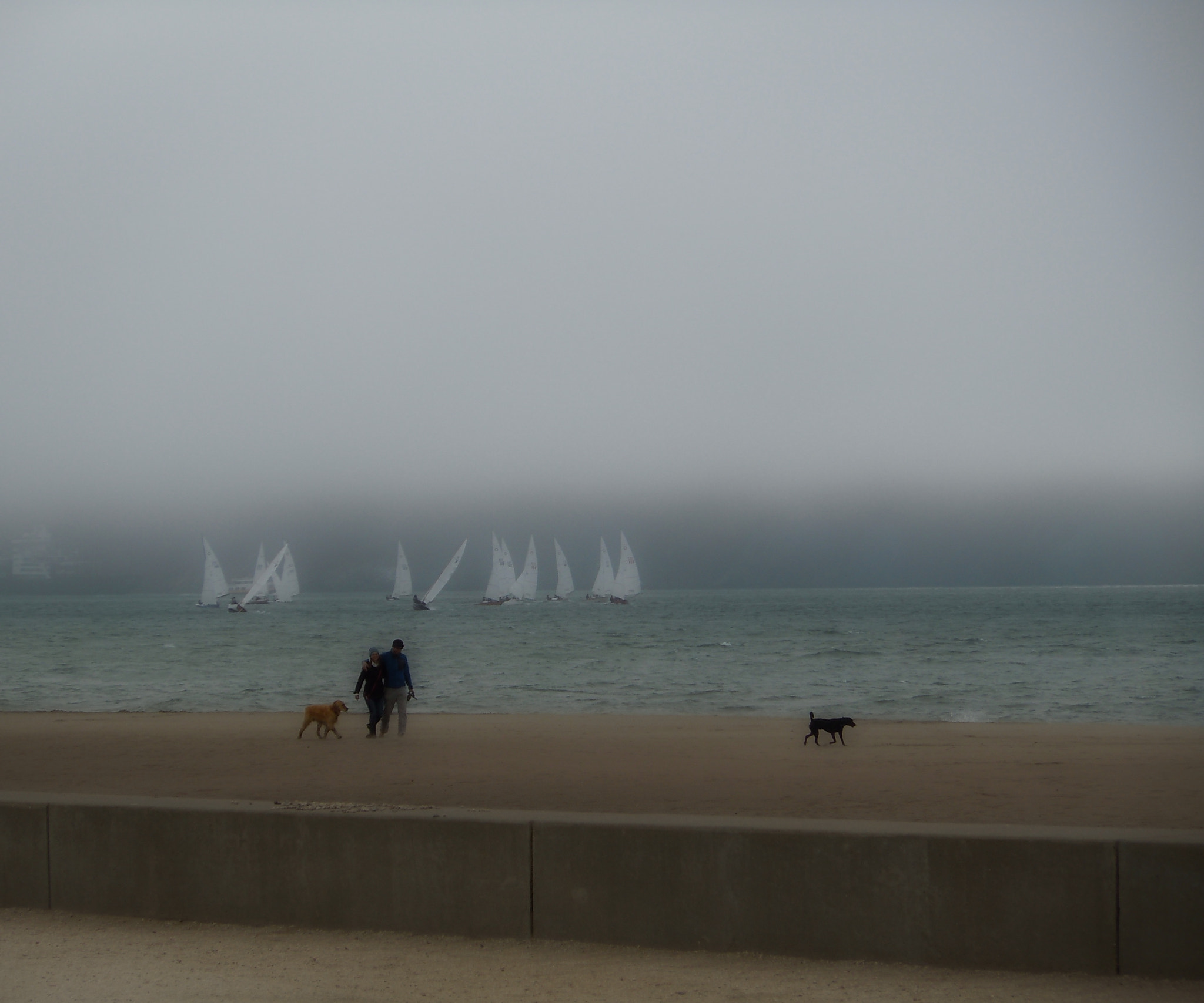 Nikon Coolpix S6000 sample photo. Beach walk on foggy day photography