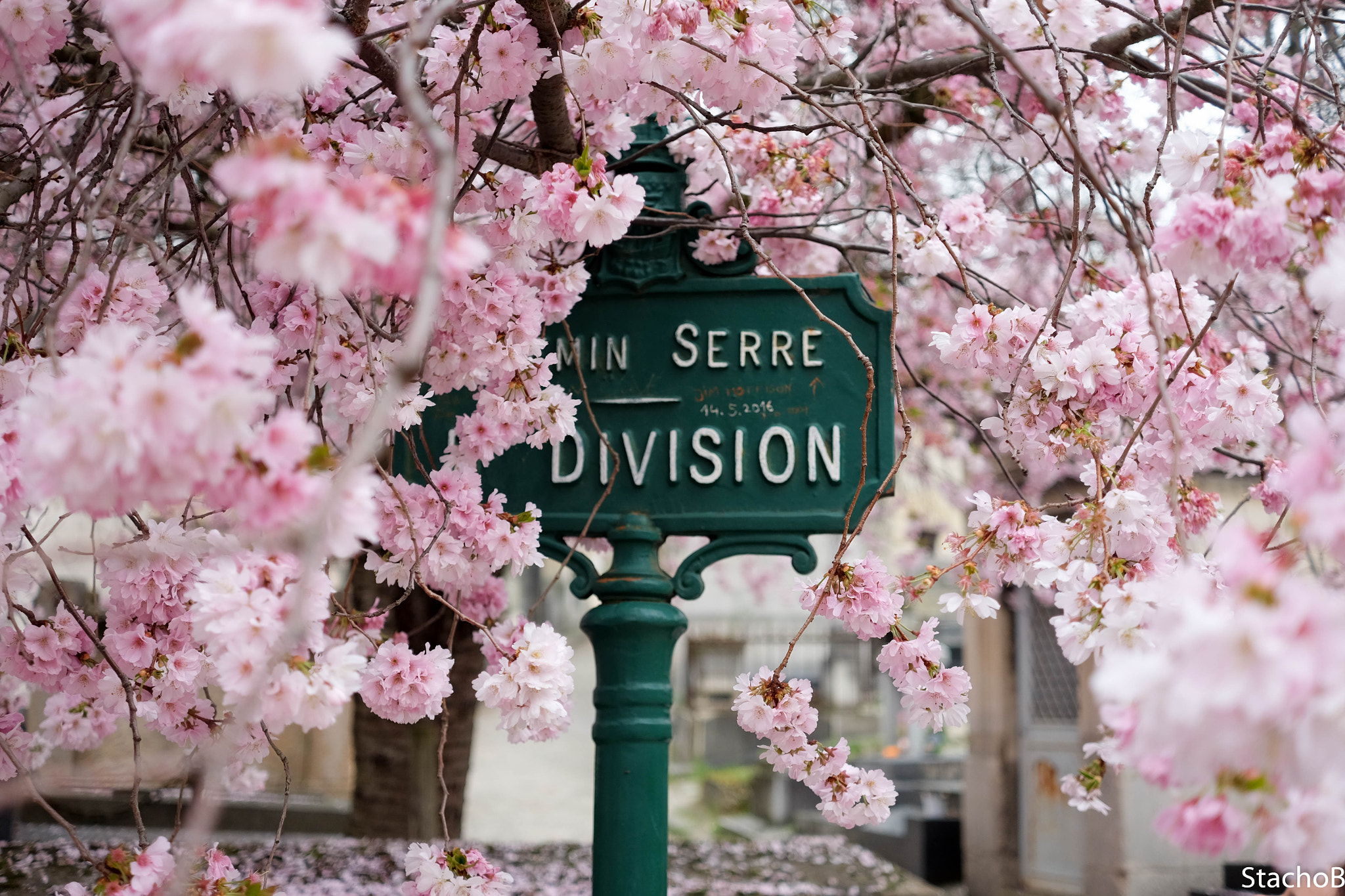 Fujifilm XF 27mm F2.8 sample photo. Spring in paris photography