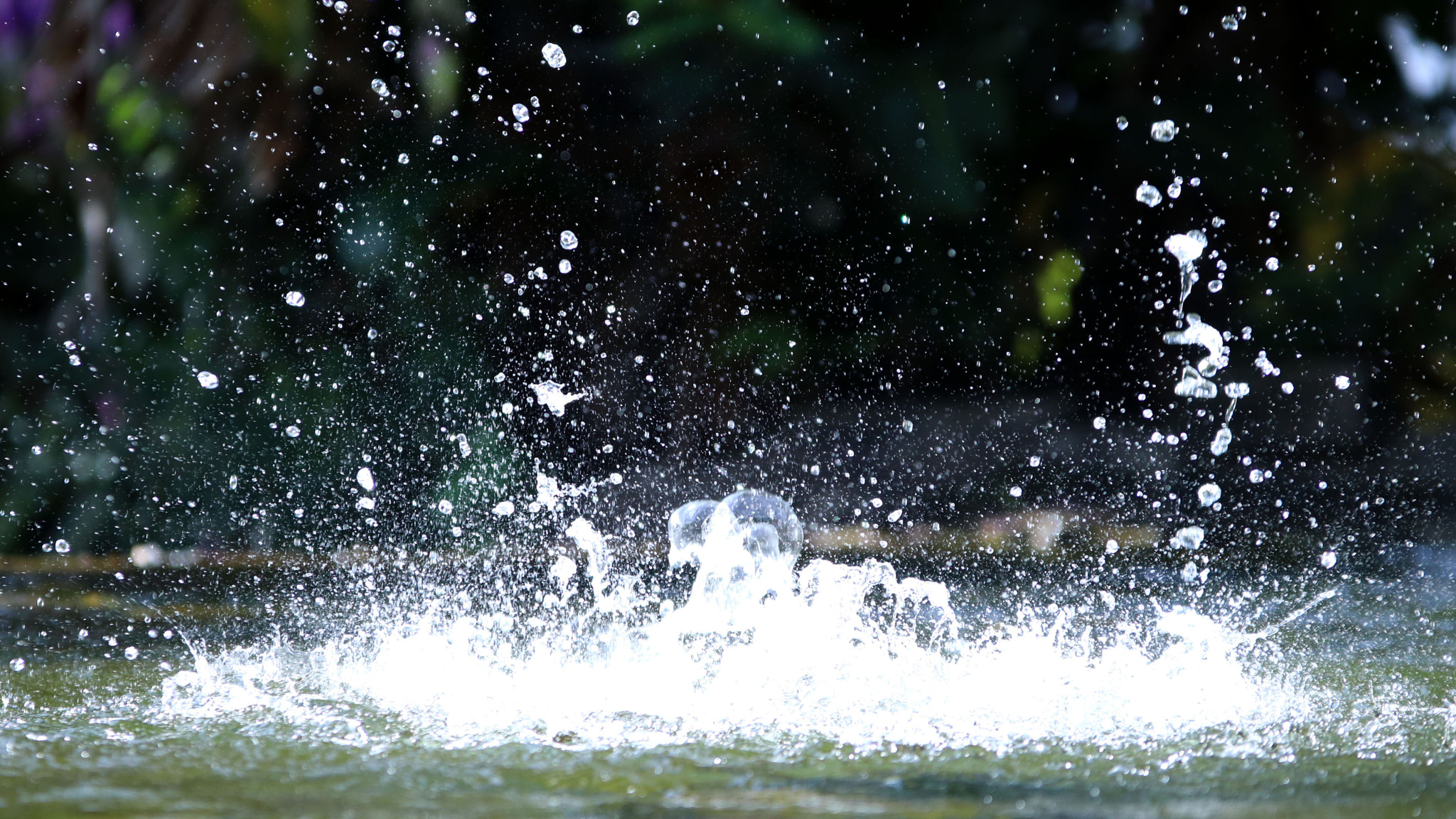 Sigma 70-200mm F2.8 EX DG OS HSM sample photo. Img photography