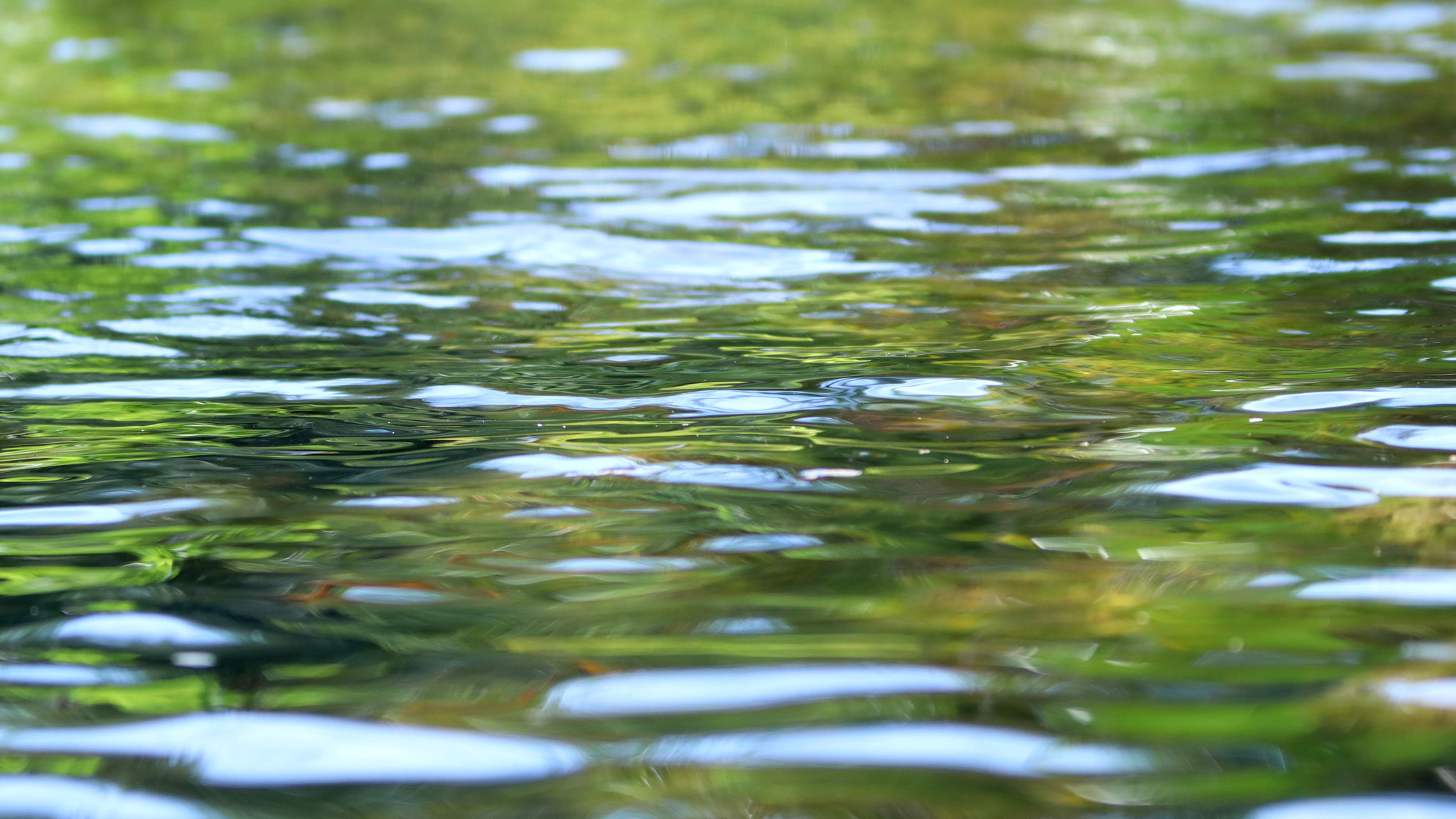Sigma 70-200mm F2.8 EX DG OS HSM sample photo. Img photography