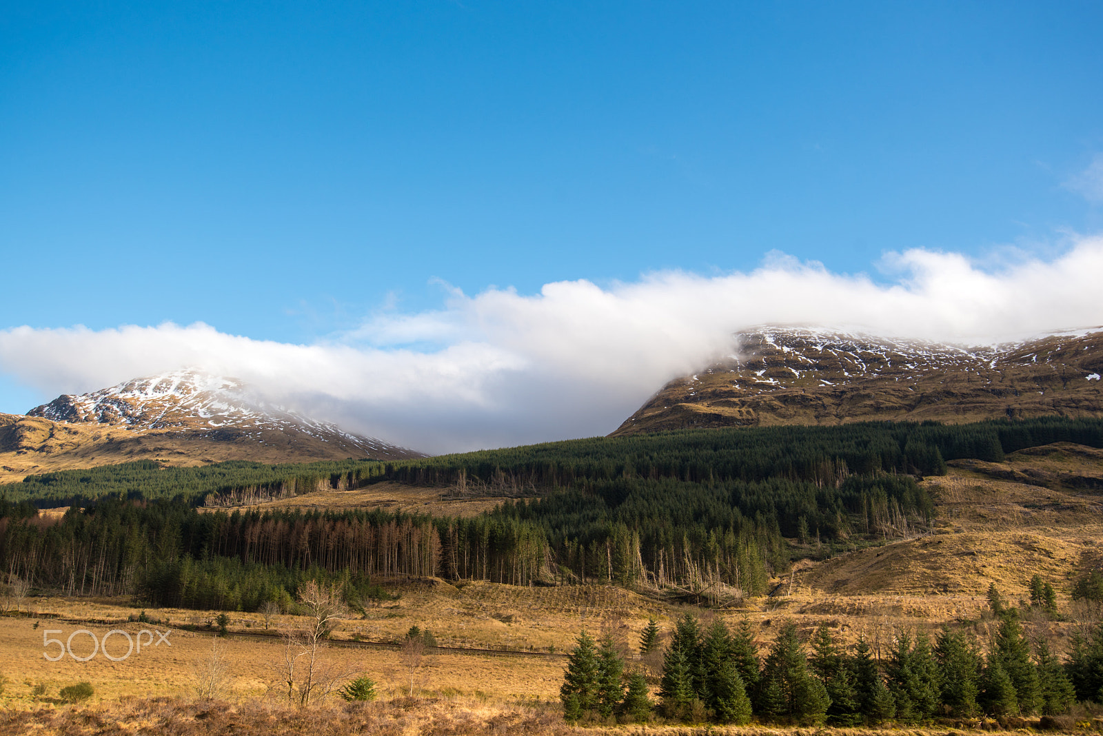 Nikon D750 sample photo. Snowy peaks photography