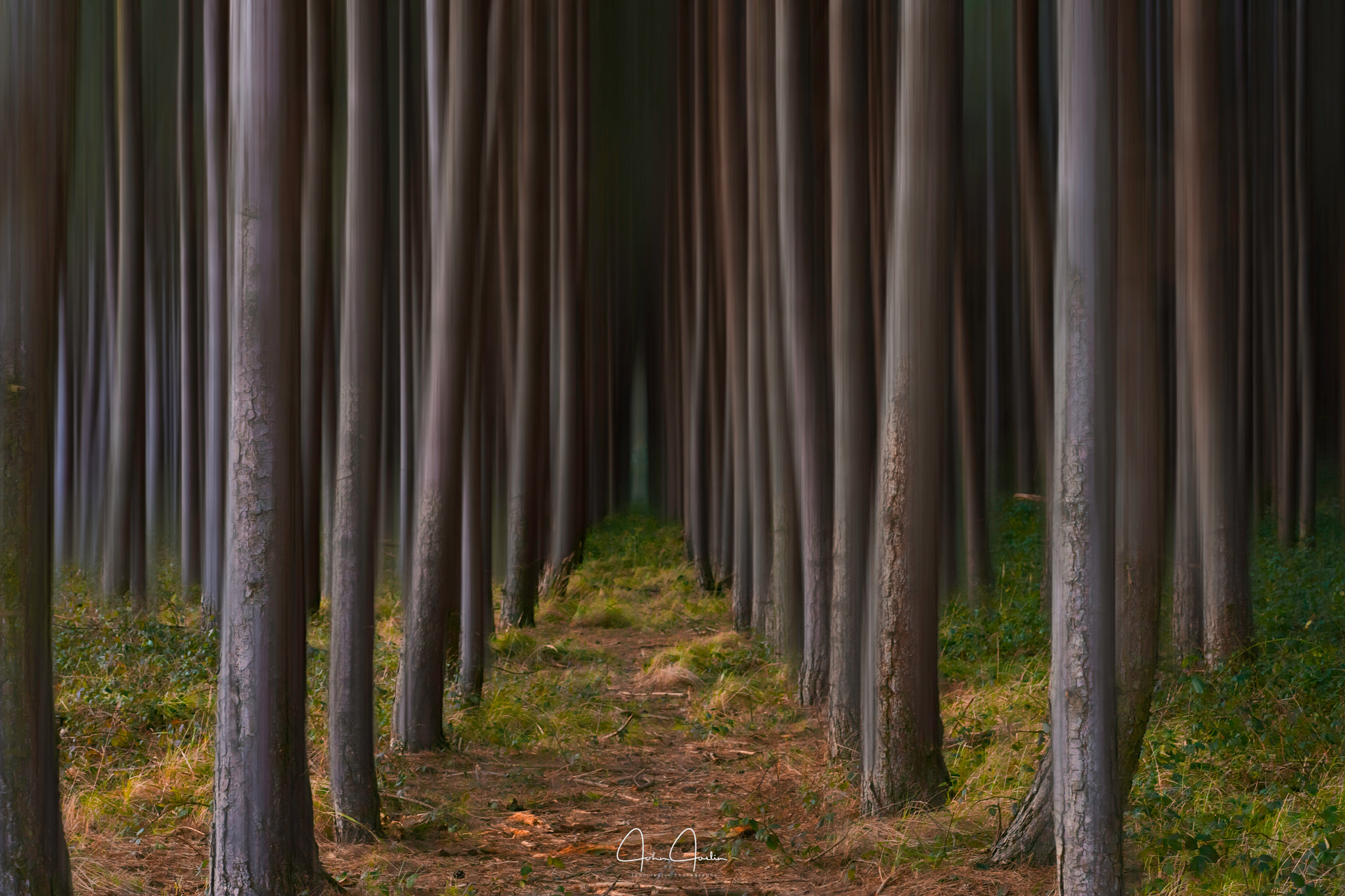 Sony a7 + Sony FE 90mm F2.8 Macro G OSS sample photo. Fineshade wood photography