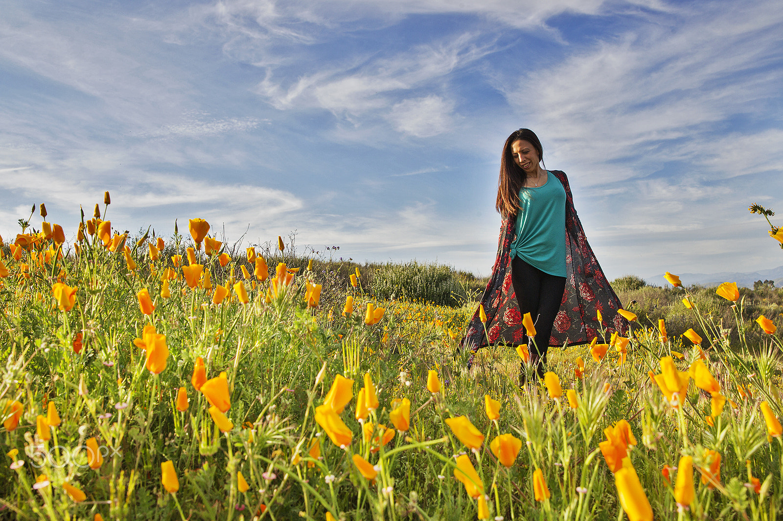 Canon EOS-1D Mark IV sample photo. Ca spring poppy photography