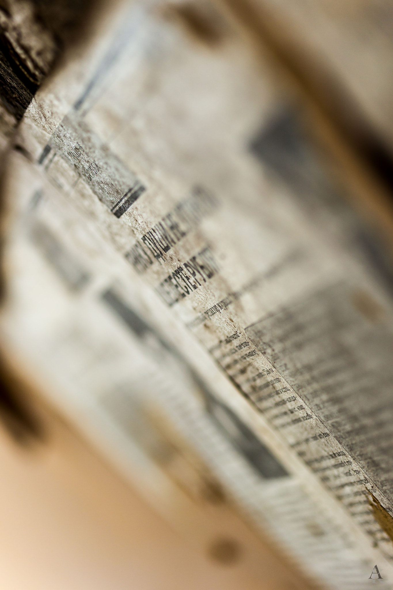 Canon EF 100mm F2.8 Macro USM sample photo. Lost place brandenburg photography