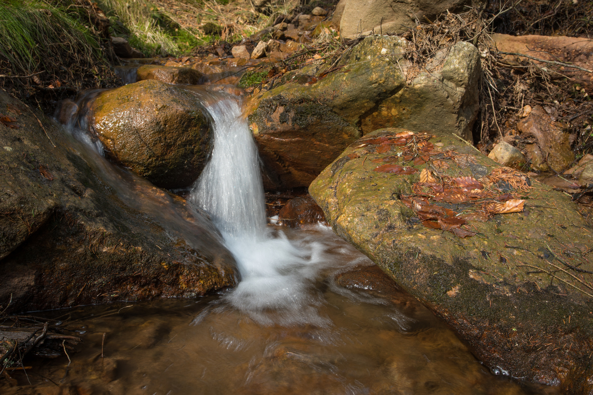 Canon EF 17-40mm F4L USM sample photo. Bourn photography