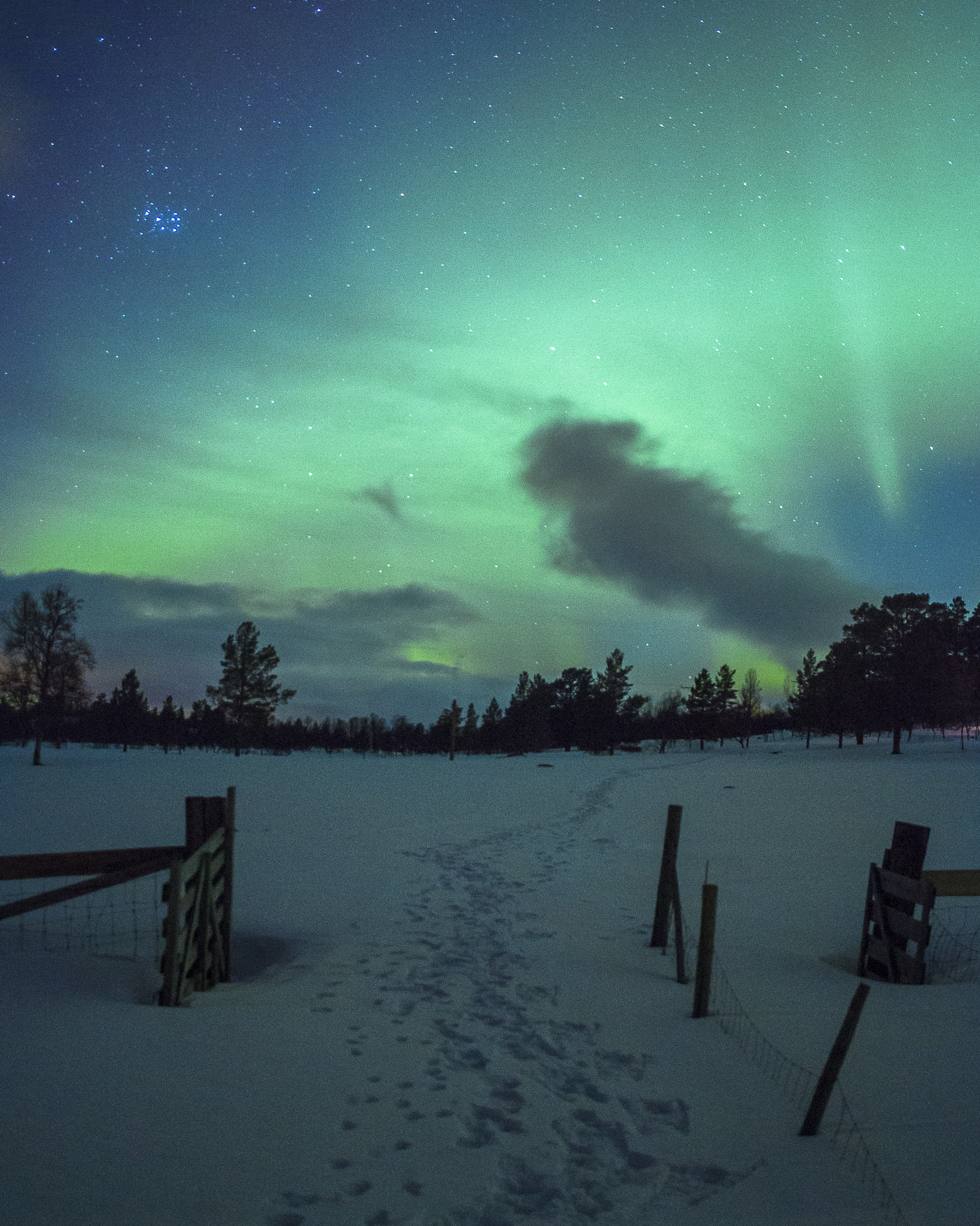 Canon EF-S 24mm F2.8 STM sample photo. Northern light photography