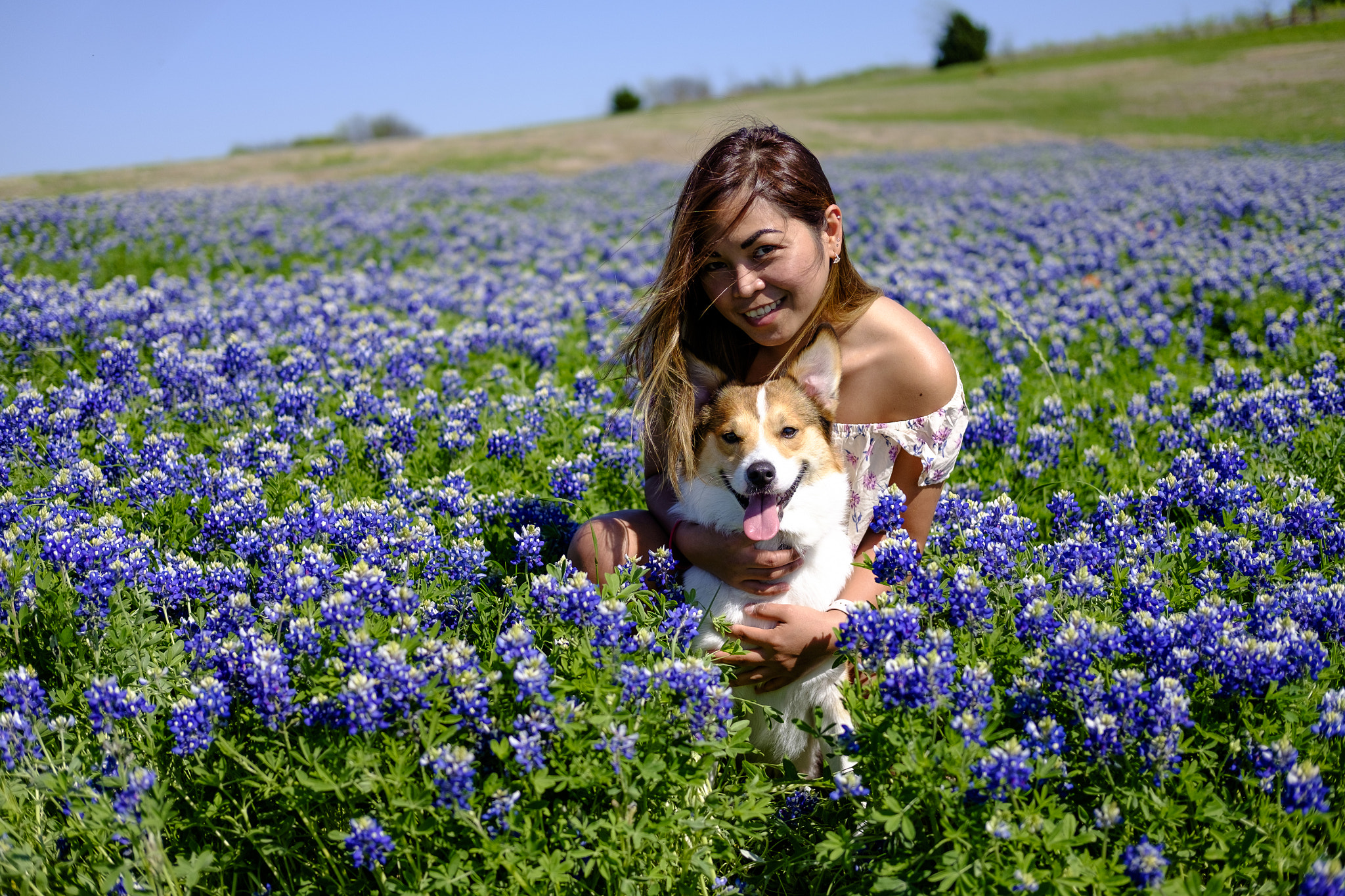 Fujifilm X-T1 + Fujifilm XF 35mm F2 R WR sample photo. Bluebonnet (of ) photography