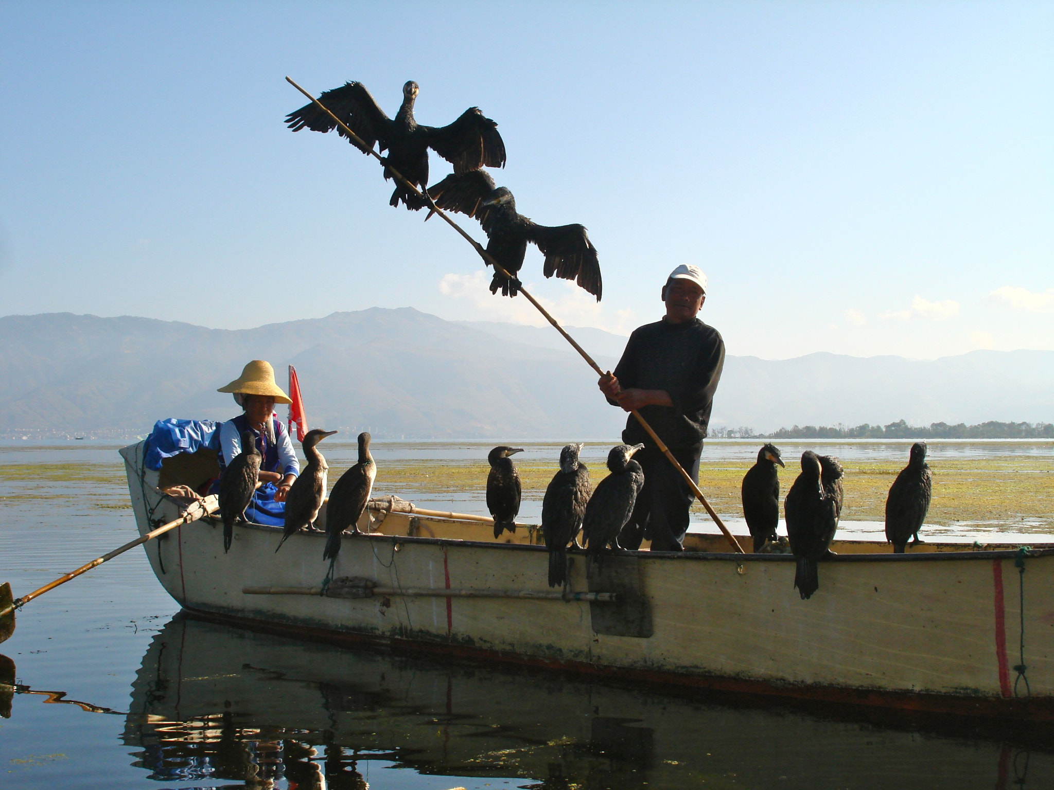 Sony DSC-W100 sample photo. Cormorant fisherman photography