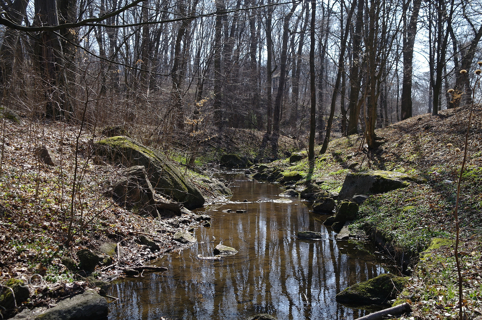 Samsung NX5 sample photo. River and sun photography