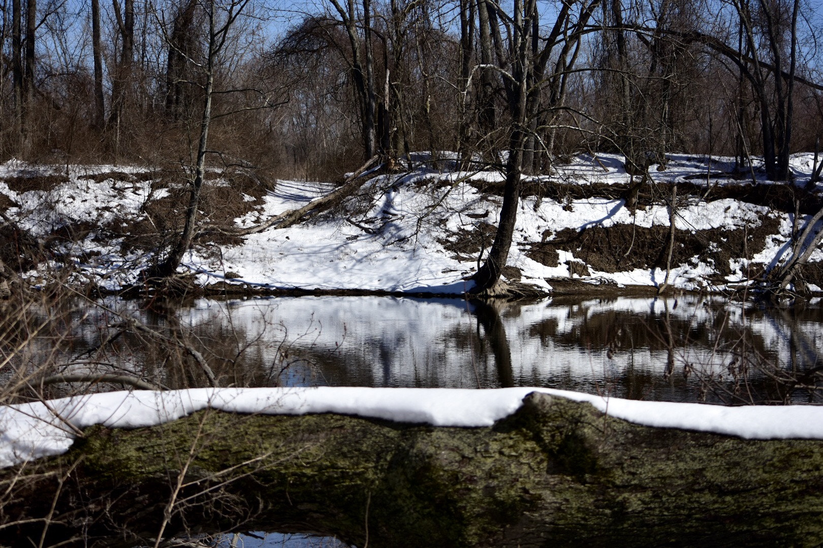 Nikon D7200 sample photo. Snow photography