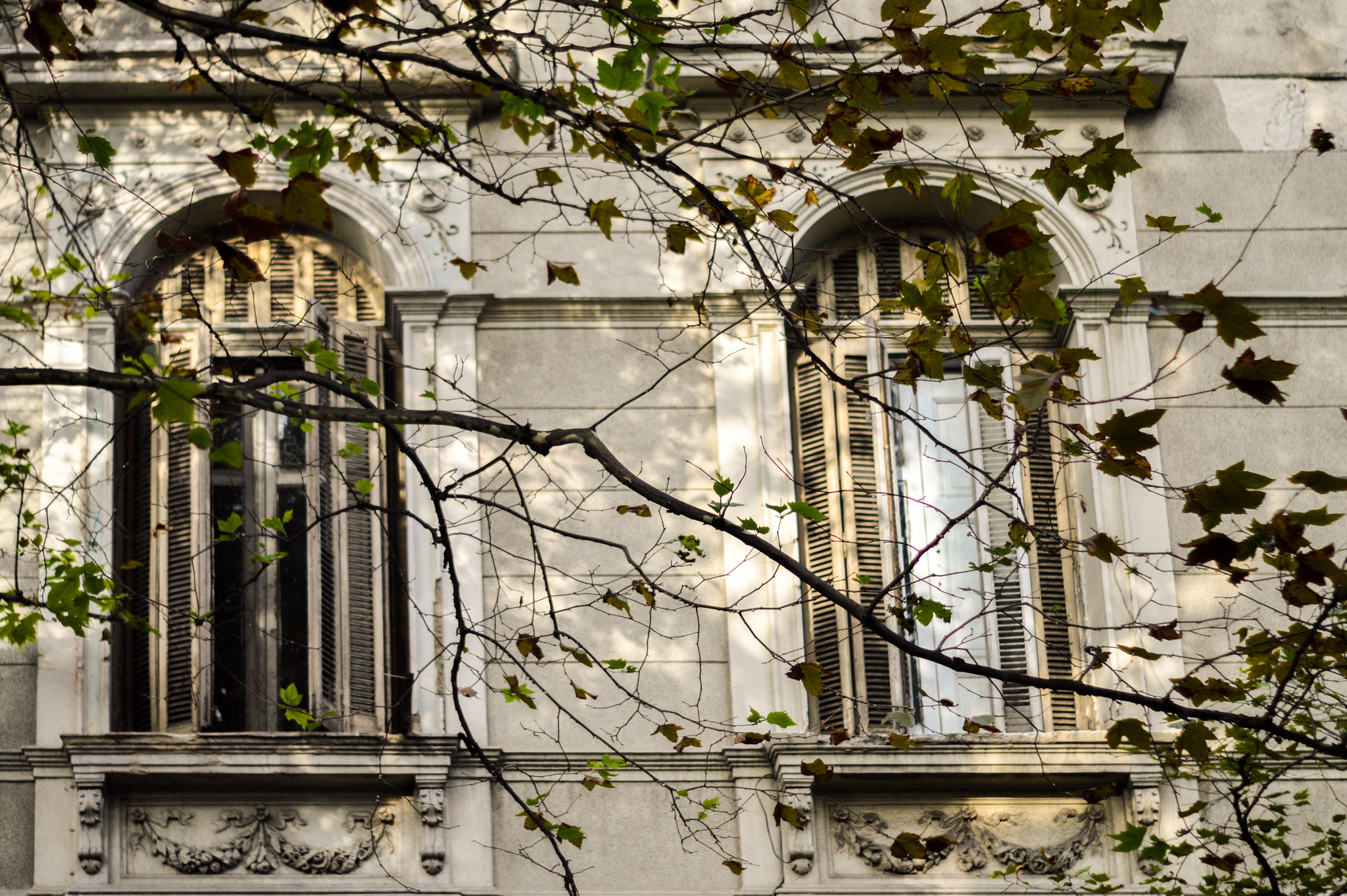 Nikon D3200 sample photo. Ventanas photography