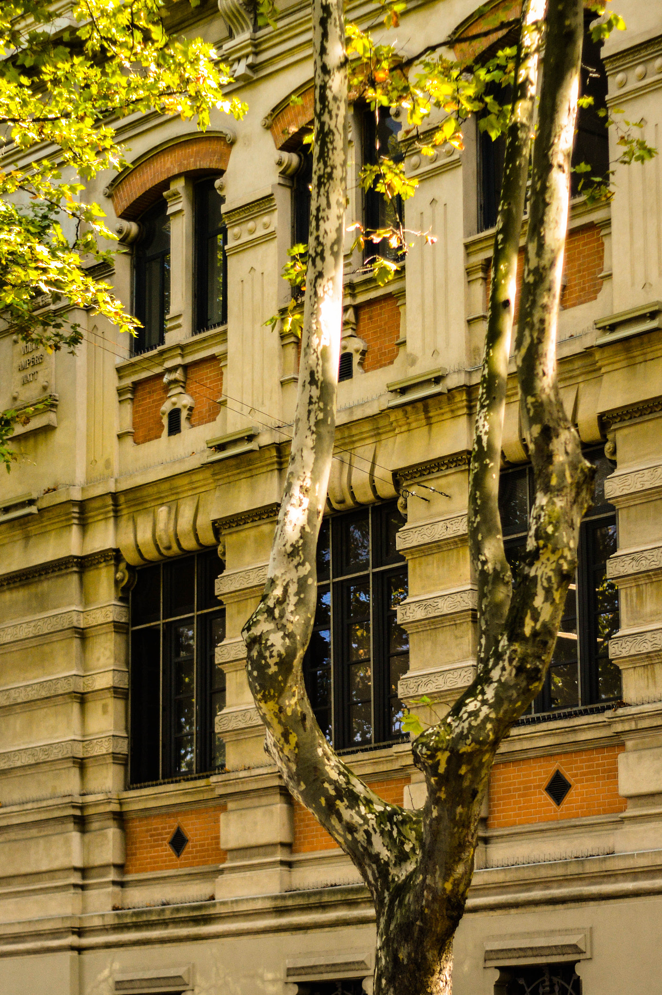 Nikon D3200 sample photo. Ventanas photography